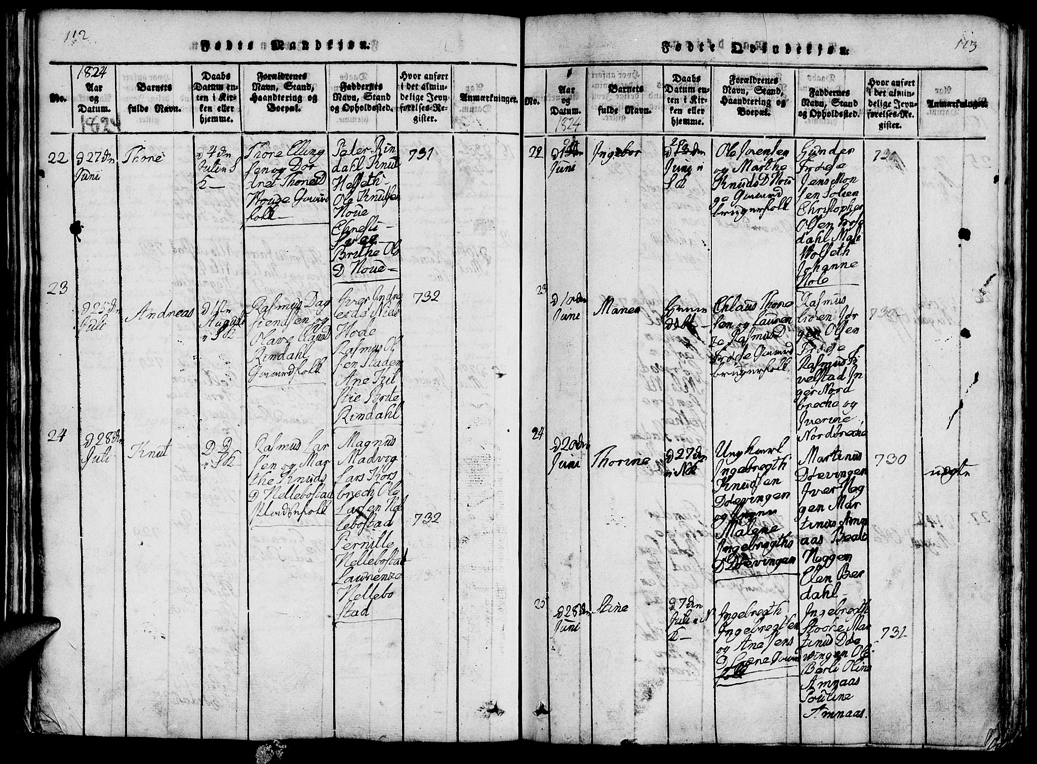 Ministerialprotokoller, klokkerbøker og fødselsregistre - Møre og Romsdal, AV/SAT-A-1454/519/L0260: Parish register (copy) no. 519C01, 1817-1829, p. 112-113