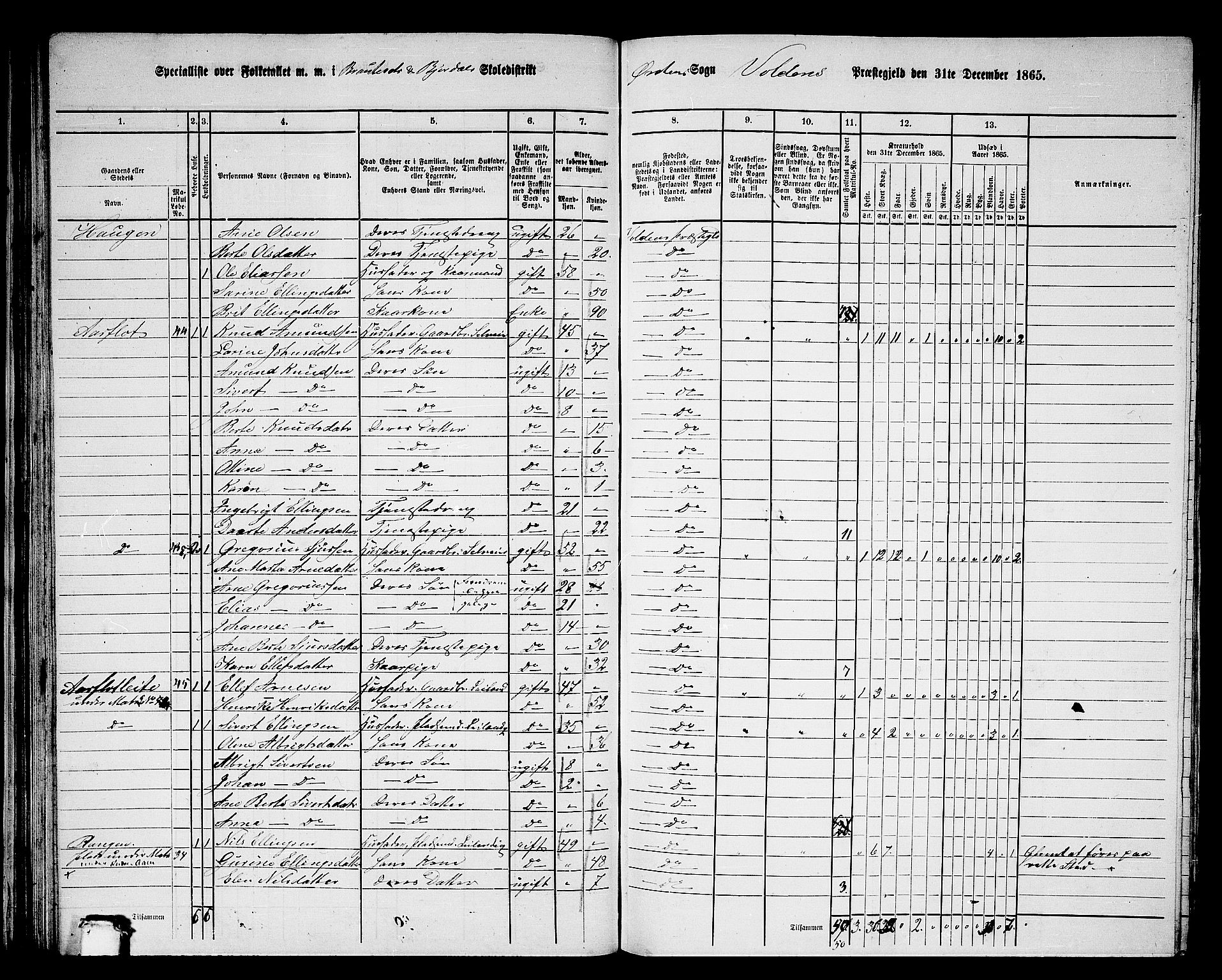 RA, 1865 census for Volda, 1865, p. 69