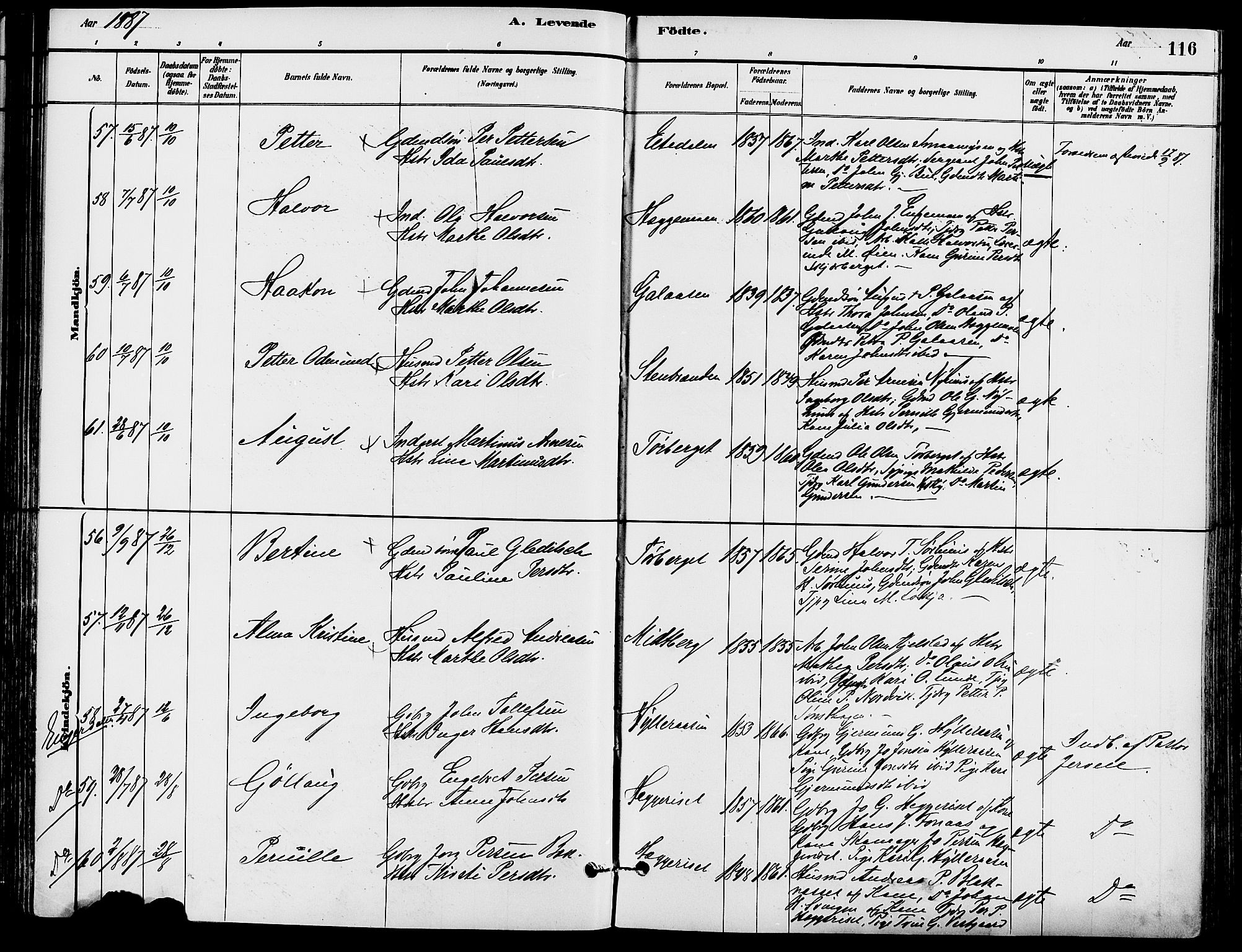 Trysil prestekontor, AV/SAH-PREST-046/H/Ha/Haa/L0008: Parish register (official) no. 8, 1881-1897, p. 116