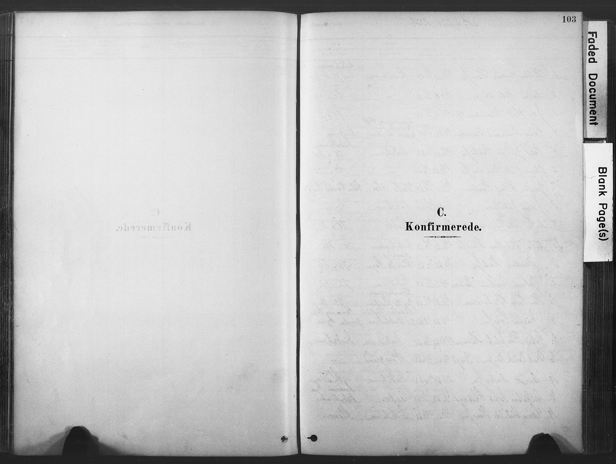 Stavern kirkebøker, AV/SAKO-A-318/F/Fa/L0008: Parish register (official) no. 8, 1878-1905, p. 103