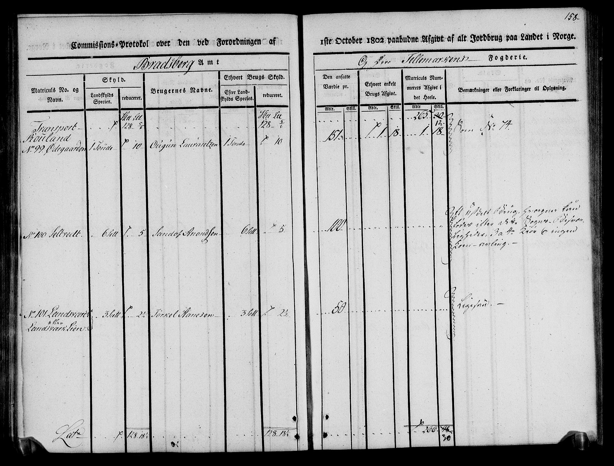 Rentekammeret inntil 1814, Realistisk ordnet avdeling, AV/RA-EA-4070/N/Ne/Nea/L0075: Øvre Telemarken fogderi. Kommisjonsprotokoll for fogderiets vestre del - Kviteseid, Vinje, Moland [):Fyresdal] og Lårdal prestegjeld., 1803, p. 160