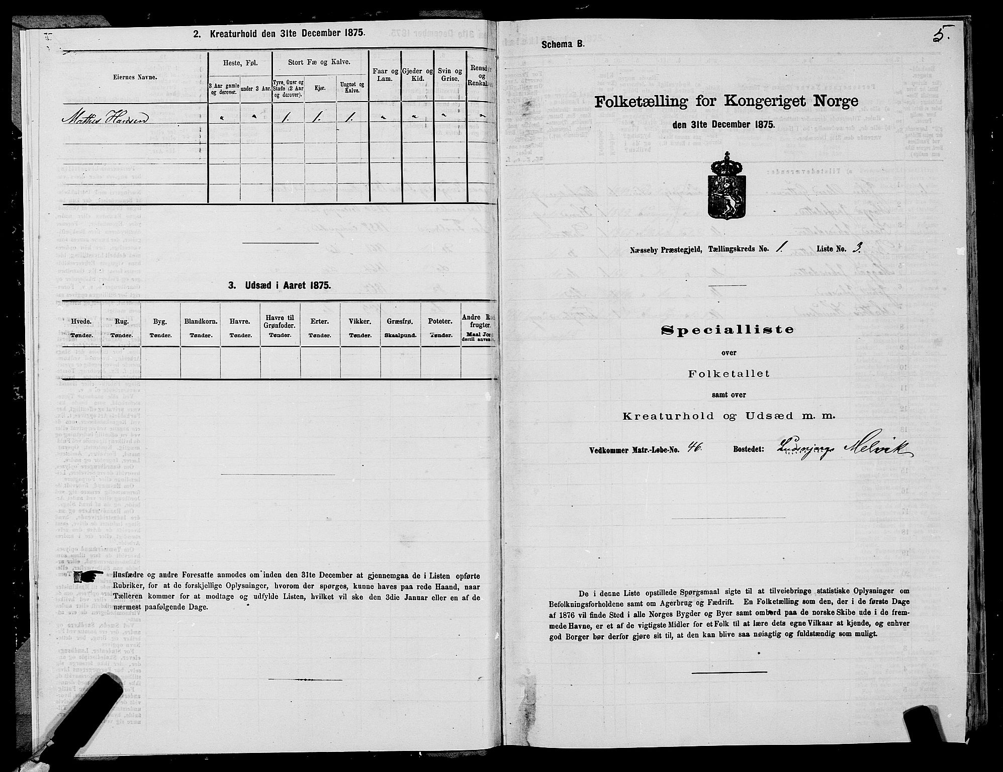 SATØ, 1875 census for 2027P Nesseby, 1875, p. 1005