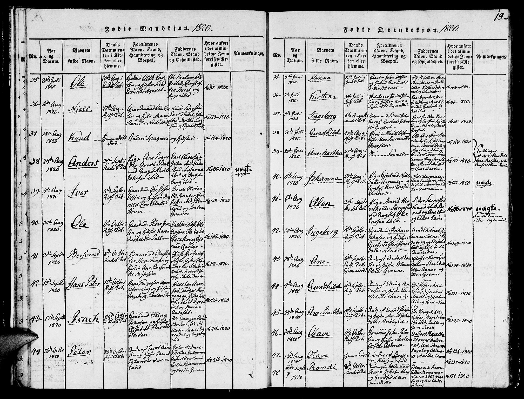 Ministerialprotokoller, klokkerbøker og fødselsregistre - Sør-Trøndelag, SAT/A-1456/646/L0608: Parish register (official) no. 646A06, 1816-1825, p. 19
