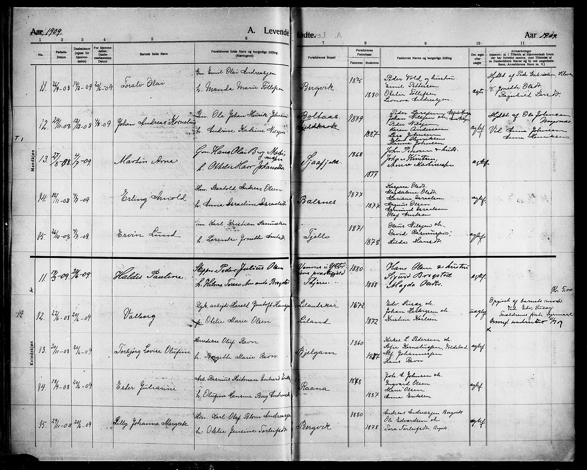 Ministerialprotokoller, klokkerbøker og fødselsregistre - Nordland, AV/SAT-A-1459/863/L0916: Parish register (copy) no. 863C06, 1907-1921