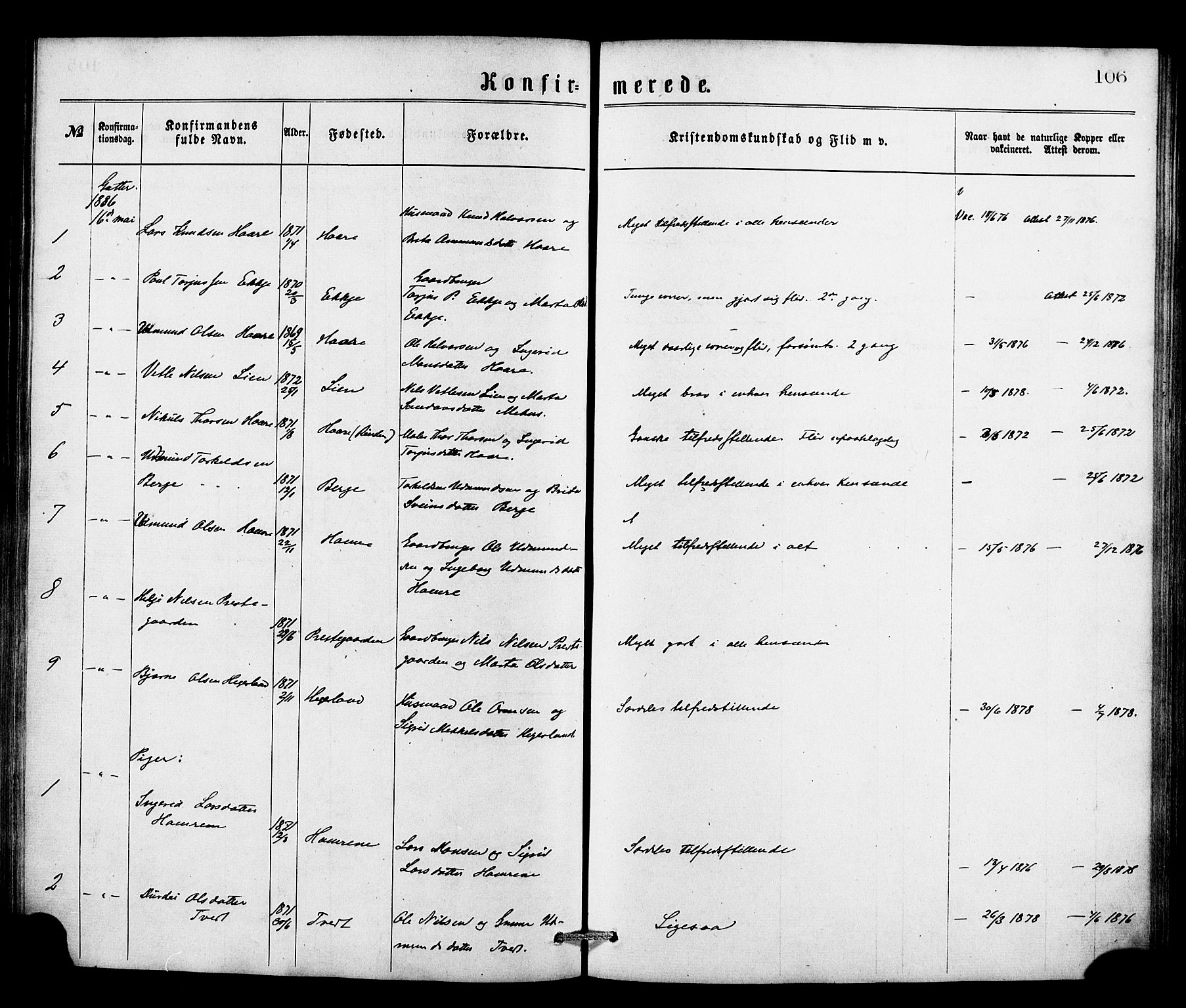 Røldal sokneprestembete, SAB/A-100247: Parish register (official) no. A 4, 1870-1886, p. 106