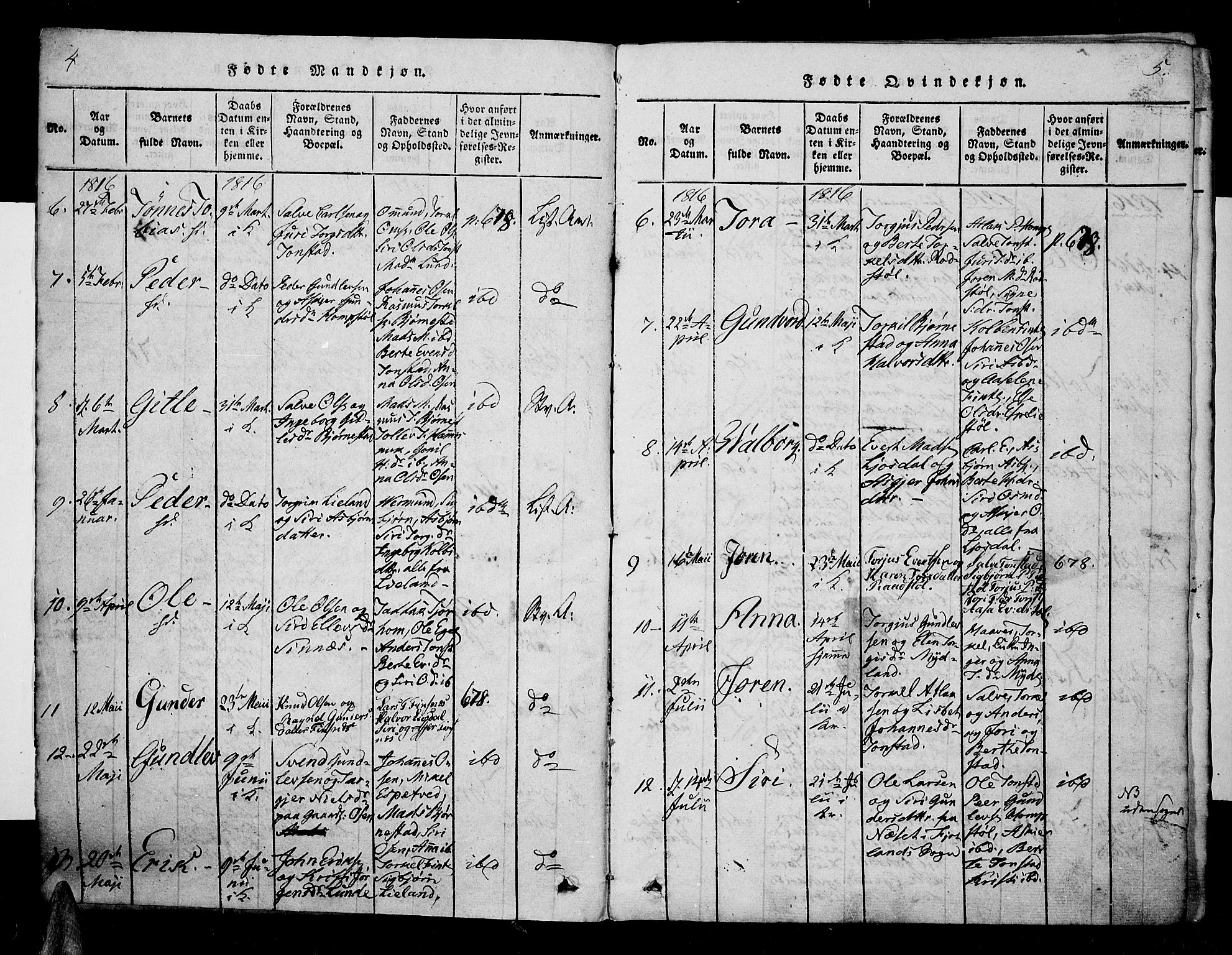 Sirdal sokneprestkontor, AV/SAK-1111-0036/F/Fa/Fab/L0001: Parish register (official) no. A 1, 1815-1834, p. 4-5