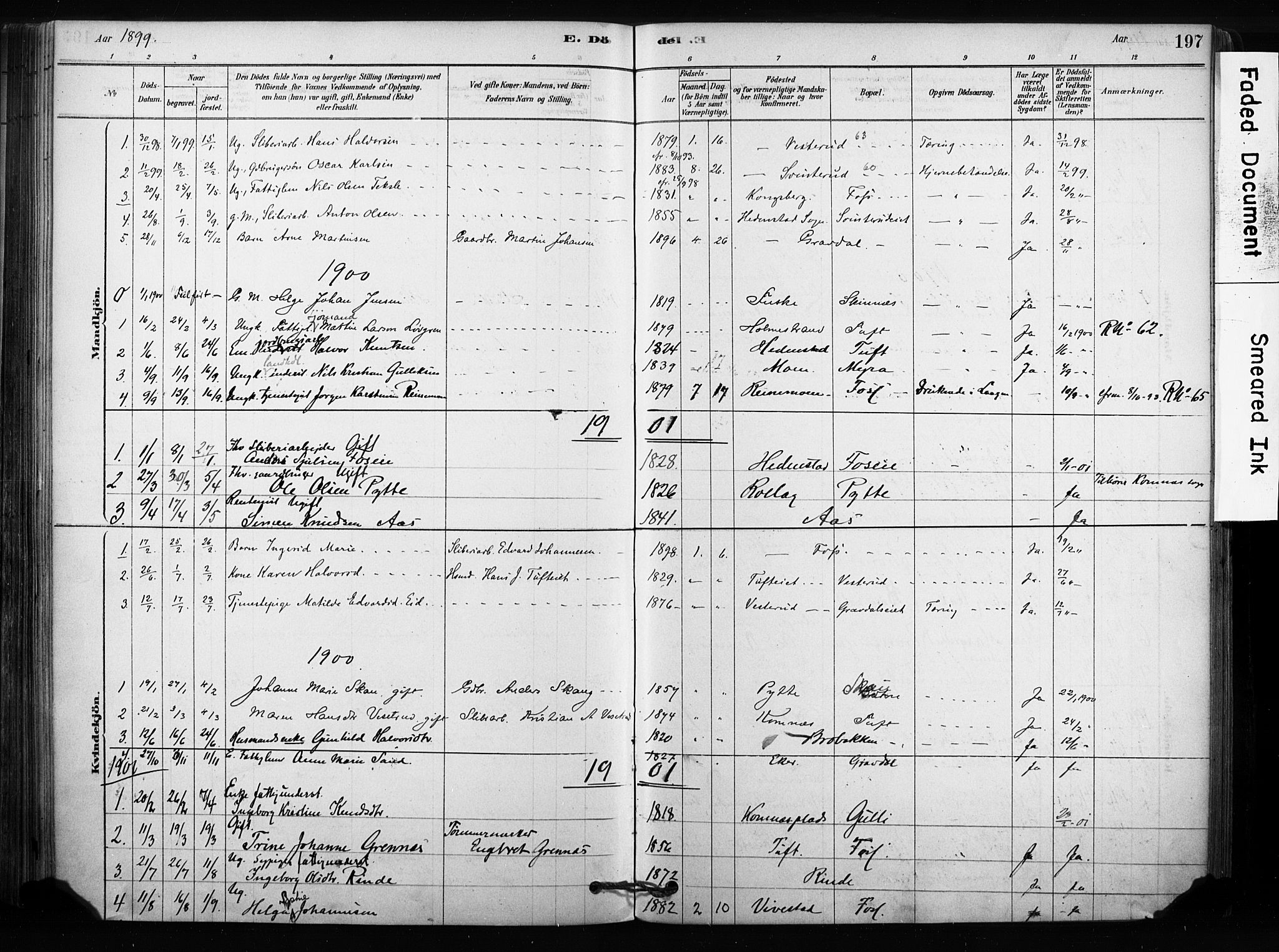 Sandsvær kirkebøker, AV/SAKO-A-244/F/Fc/L0001: Parish register (official) no. III 1, 1878-1923, p. 197