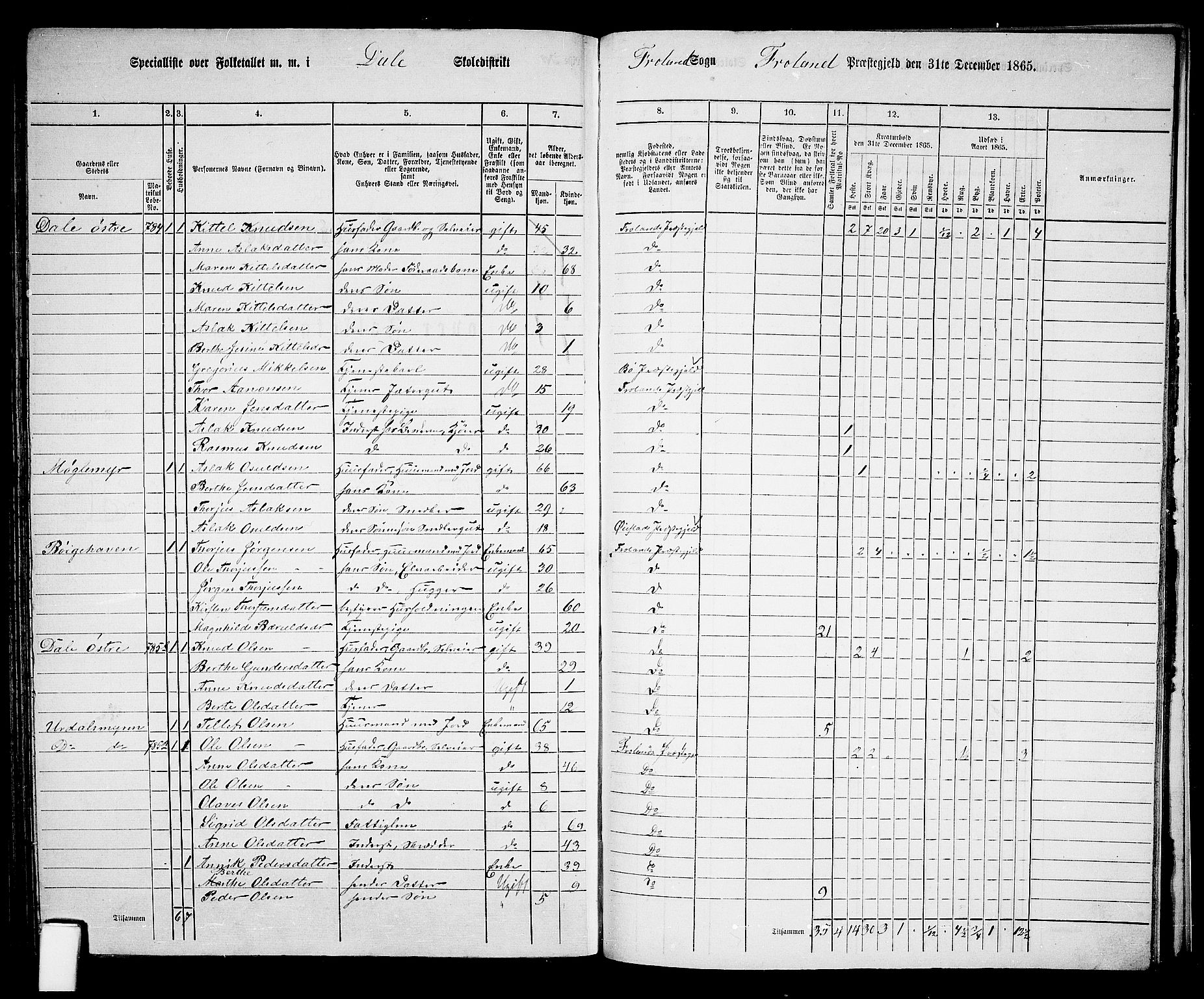 RA, 1865 census for Froland, 1865, p. 82