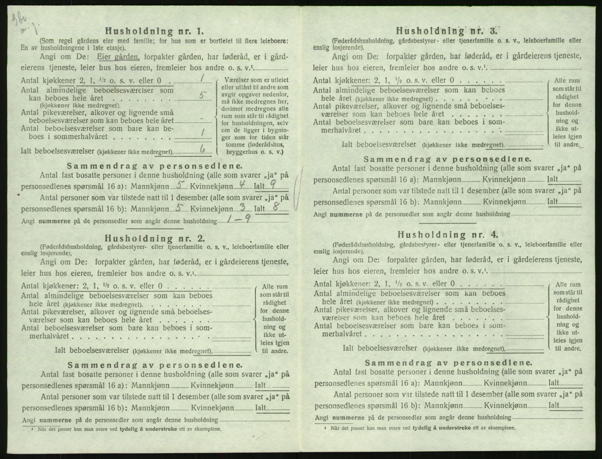 SAK, 1920 census for Hornnes, 1920, p. 458