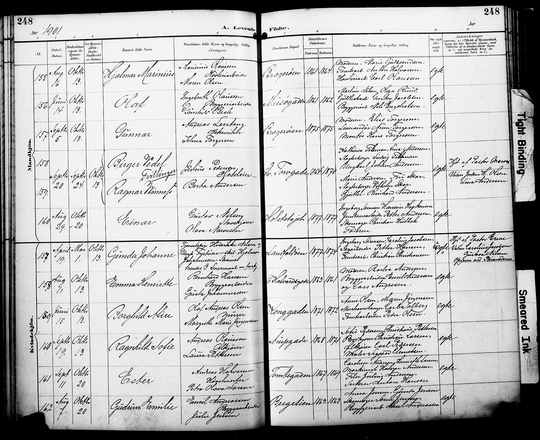 Bragernes kirkebøker, AV/SAKO-A-6/F/Fb/L0008: Parish register (official) no. II 8, 1894-1902, p. 248