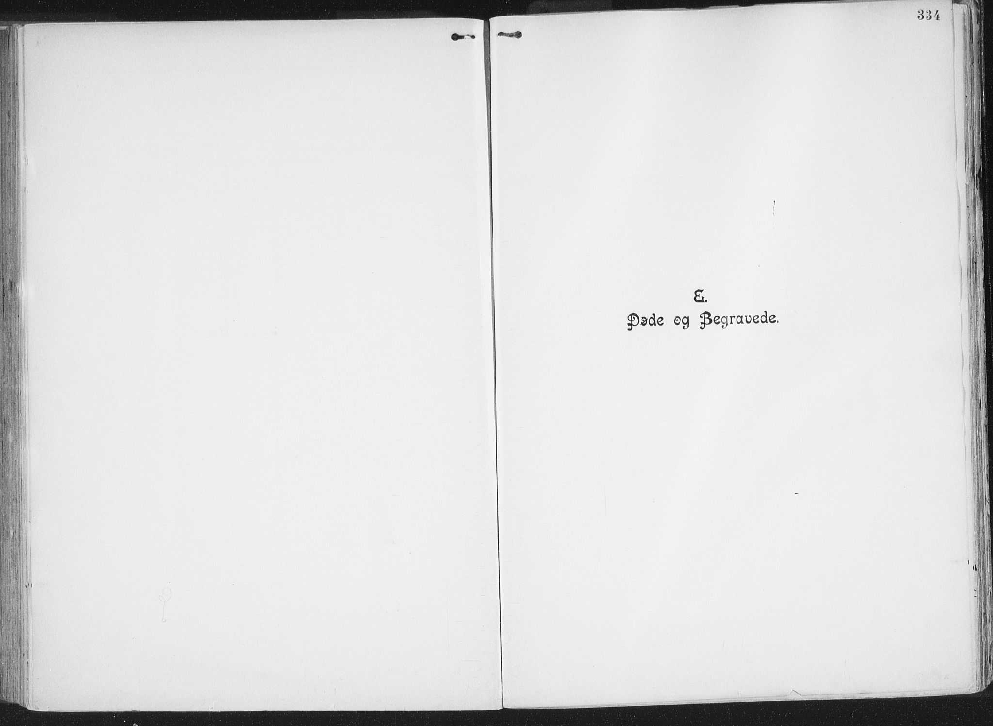 Ministerialprotokoller, klokkerbøker og fødselsregistre - Nordland, SAT/A-1459/849/L0696: Parish register (official) no. 849A08, 1898-1910, p. 334