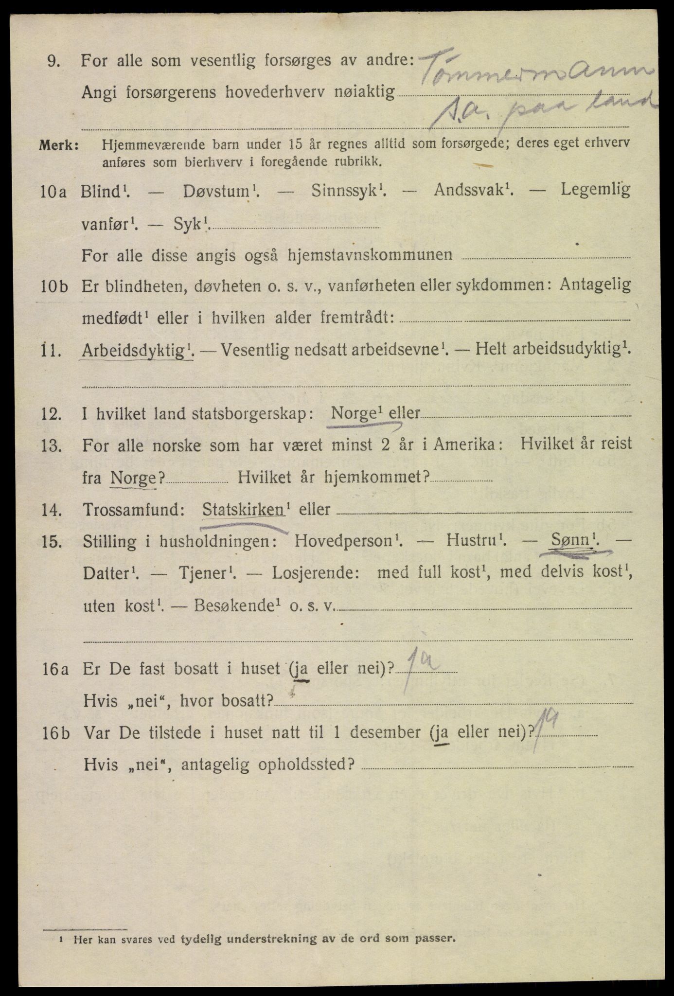 SAK, 1920 census for Mandal, 1920, p. 6994