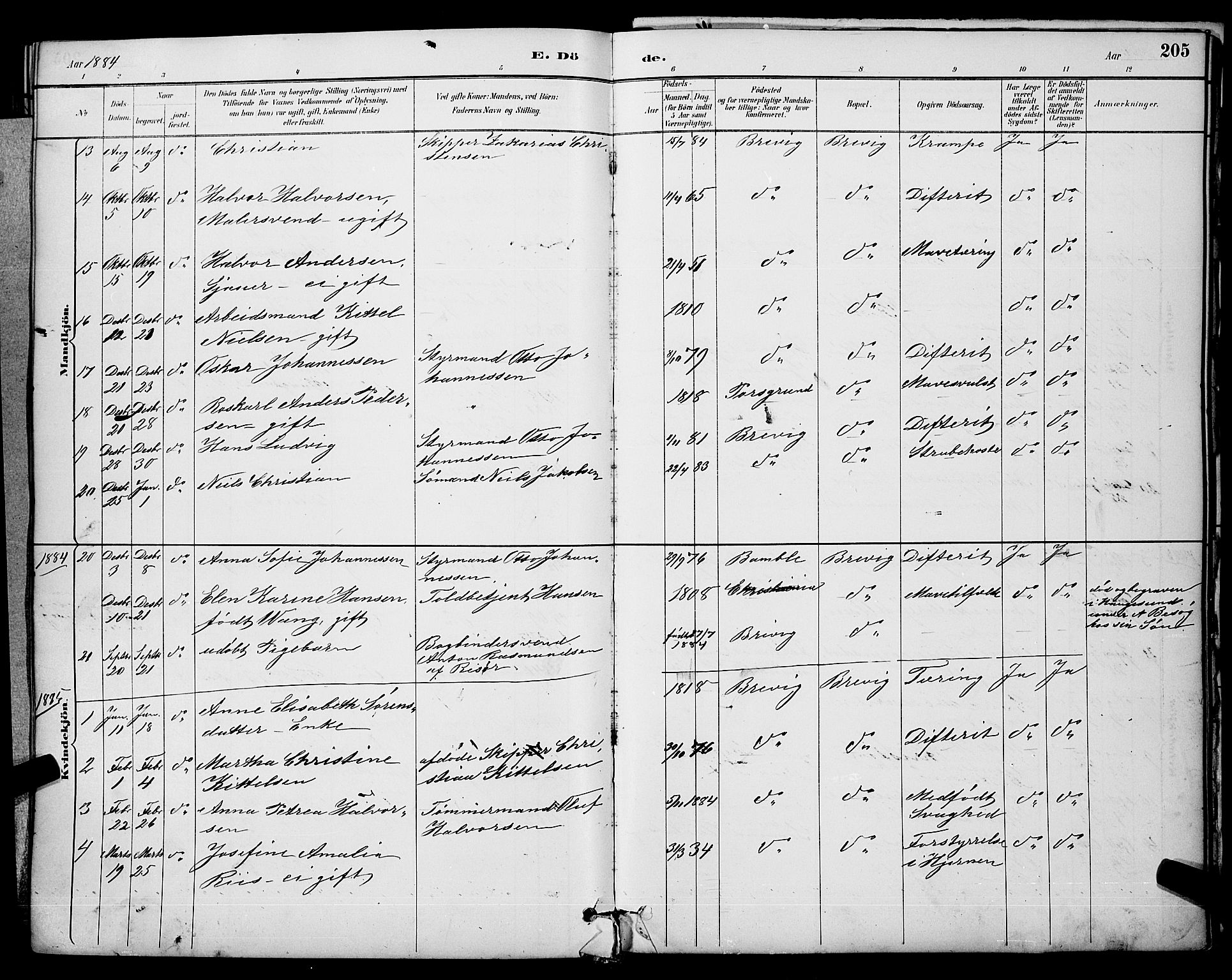 Brevik kirkebøker, SAKO/A-255/G/Ga/L0004: Parish register (copy) no. 4, 1882-1900, p. 205