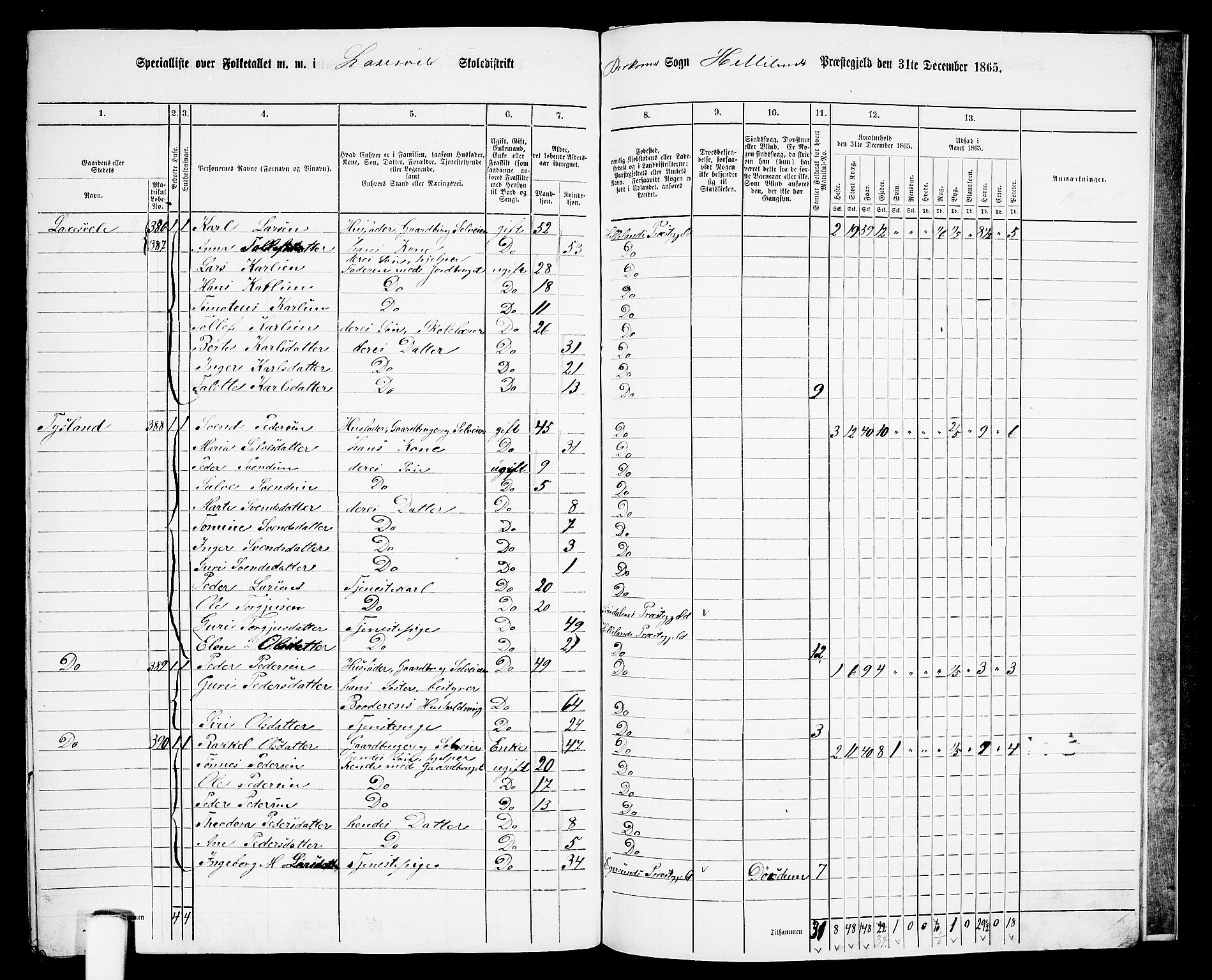 RA, 1865 census for Helleland, 1865, p. 133