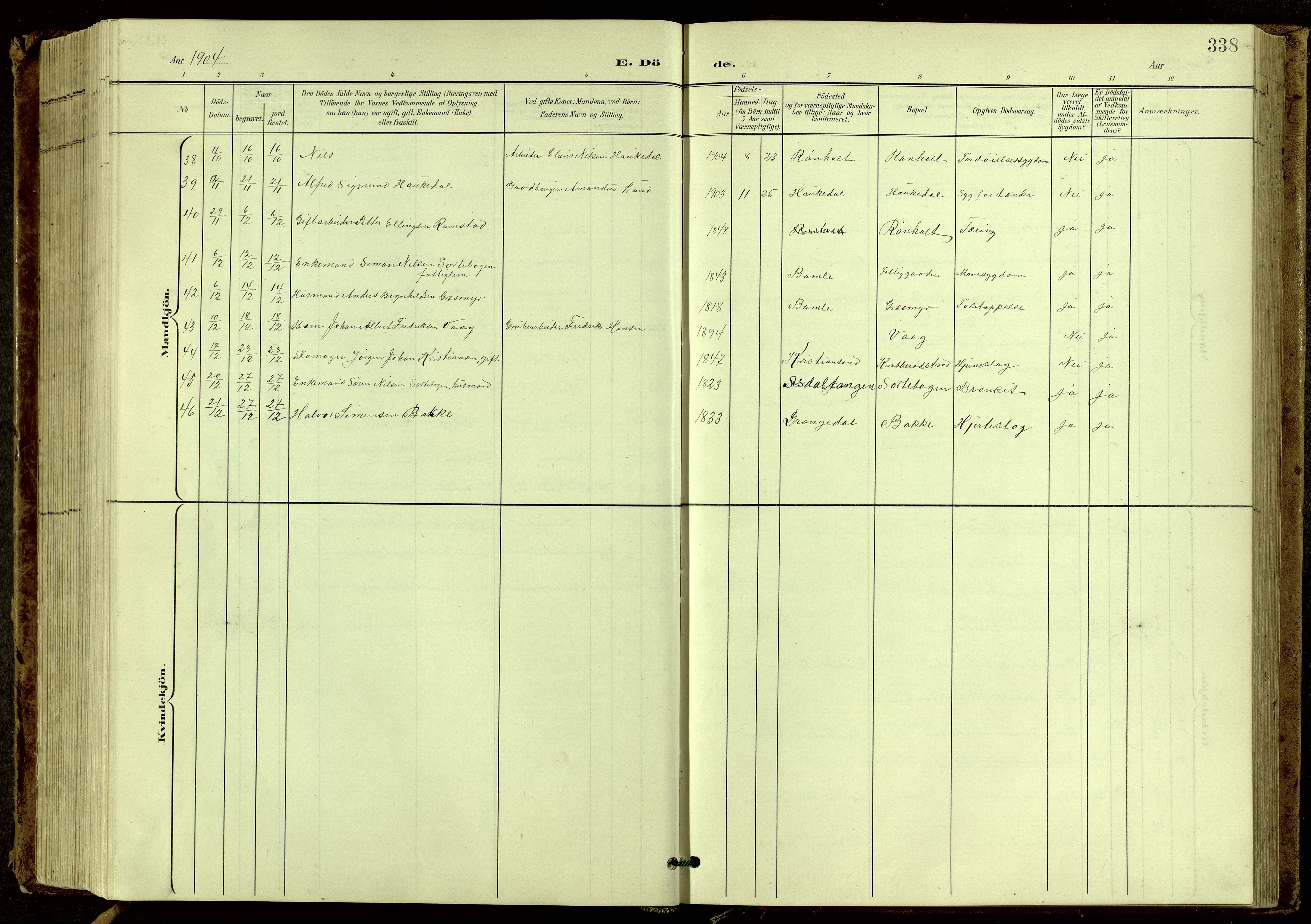 Bamble kirkebøker, SAKO/A-253/G/Ga/L0010: Parish register (copy) no. I 10, 1901-1919, p. 338