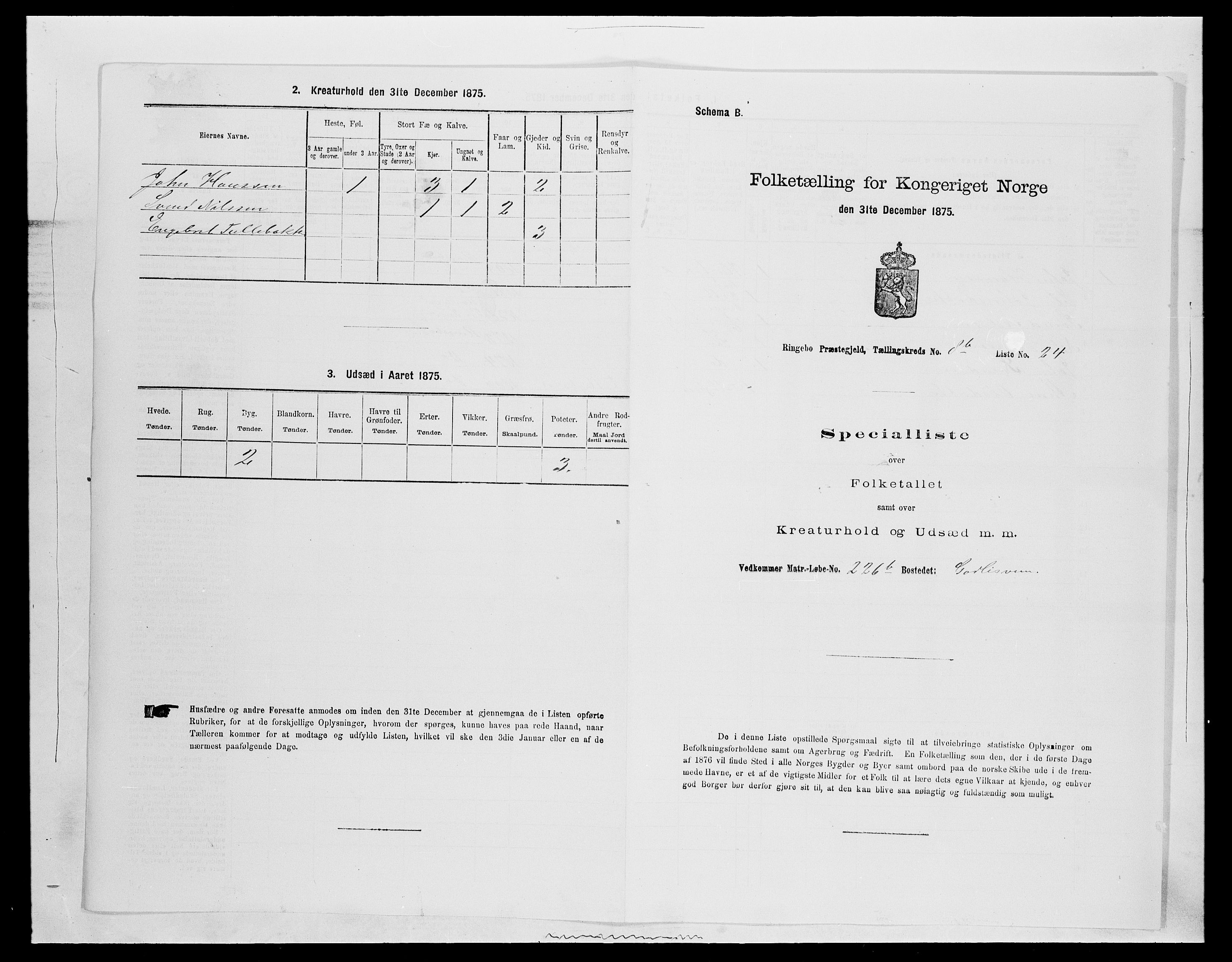 SAH, 1875 census for 0520P Ringebu, 1875, p. 1318