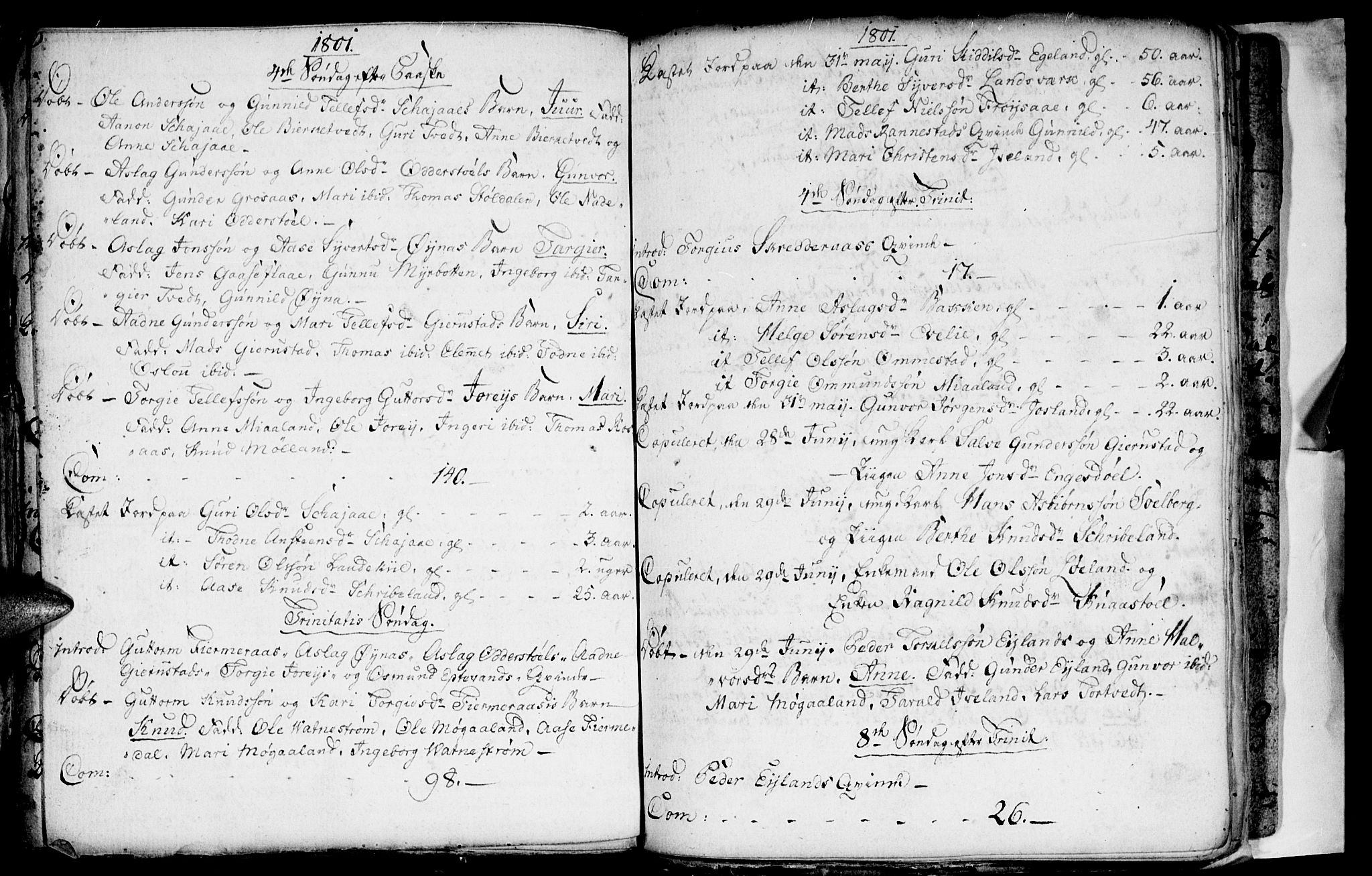 Evje sokneprestkontor, AV/SAK-1111-0008/F/Fa/Fac/L0002: Parish register (official) no. A 2, 1765-1816, p. 135