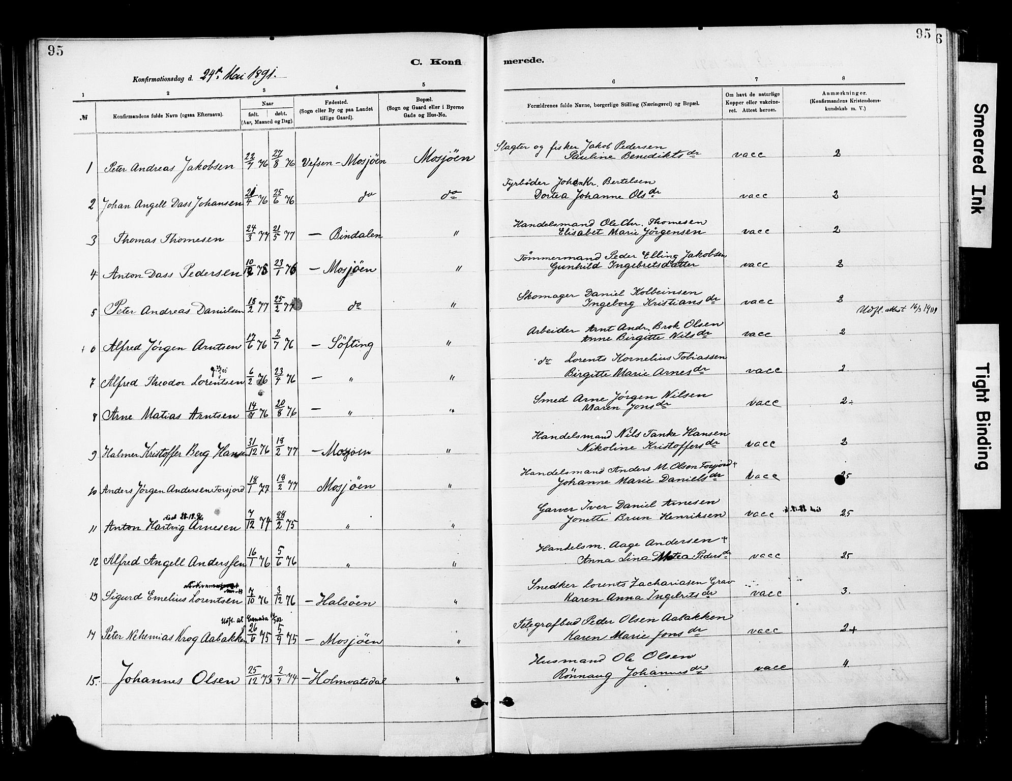 Ministerialprotokoller, klokkerbøker og fødselsregistre - Nordland, SAT/A-1459/820/L0296: Parish register (official) no. 820A17, 1880-1903, p. 95