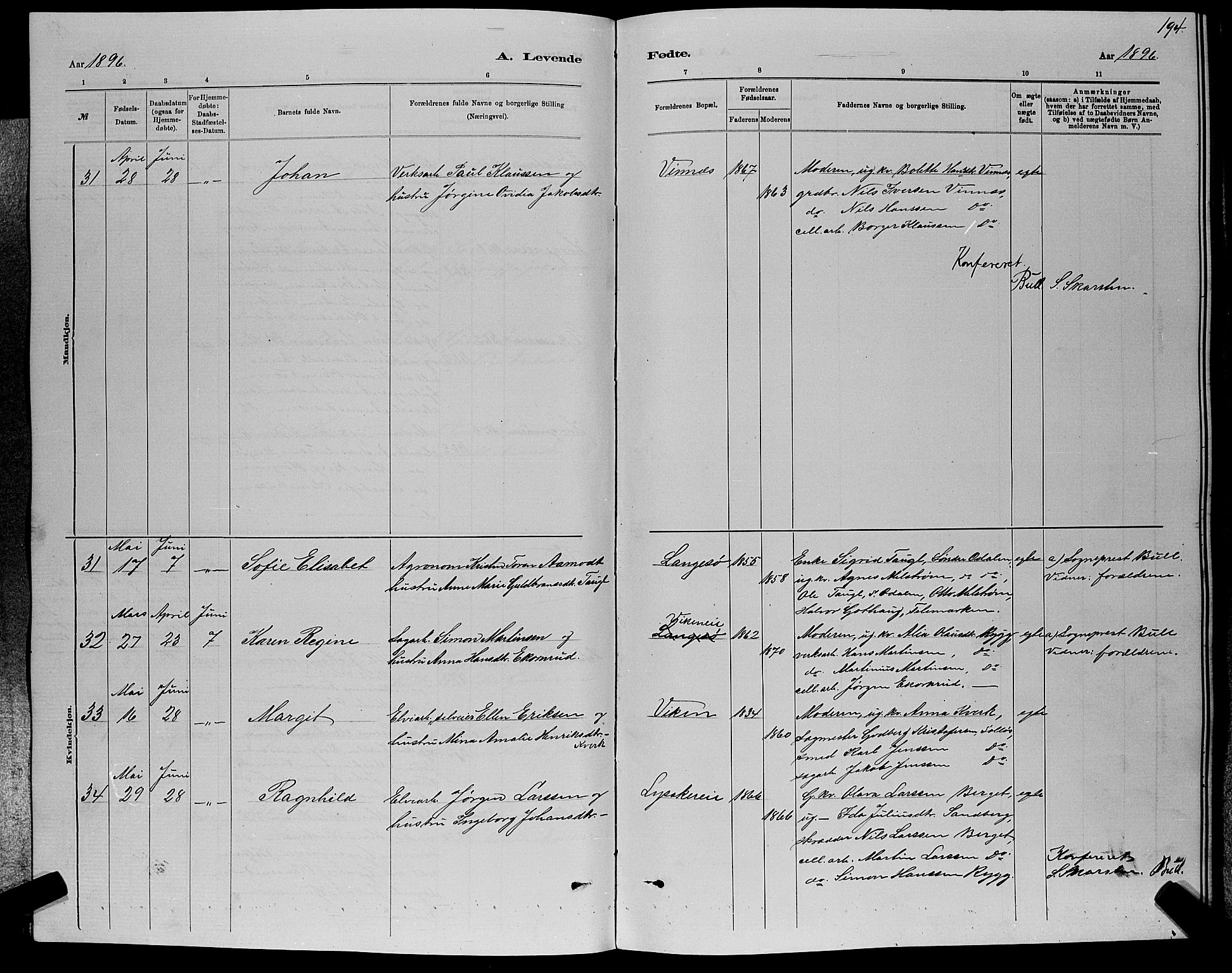 Nedre Eiker kirkebøker, AV/SAKO-A-612/G/Ga/L0002: Parish register (copy) no. 2, 1880-1896, p. 194