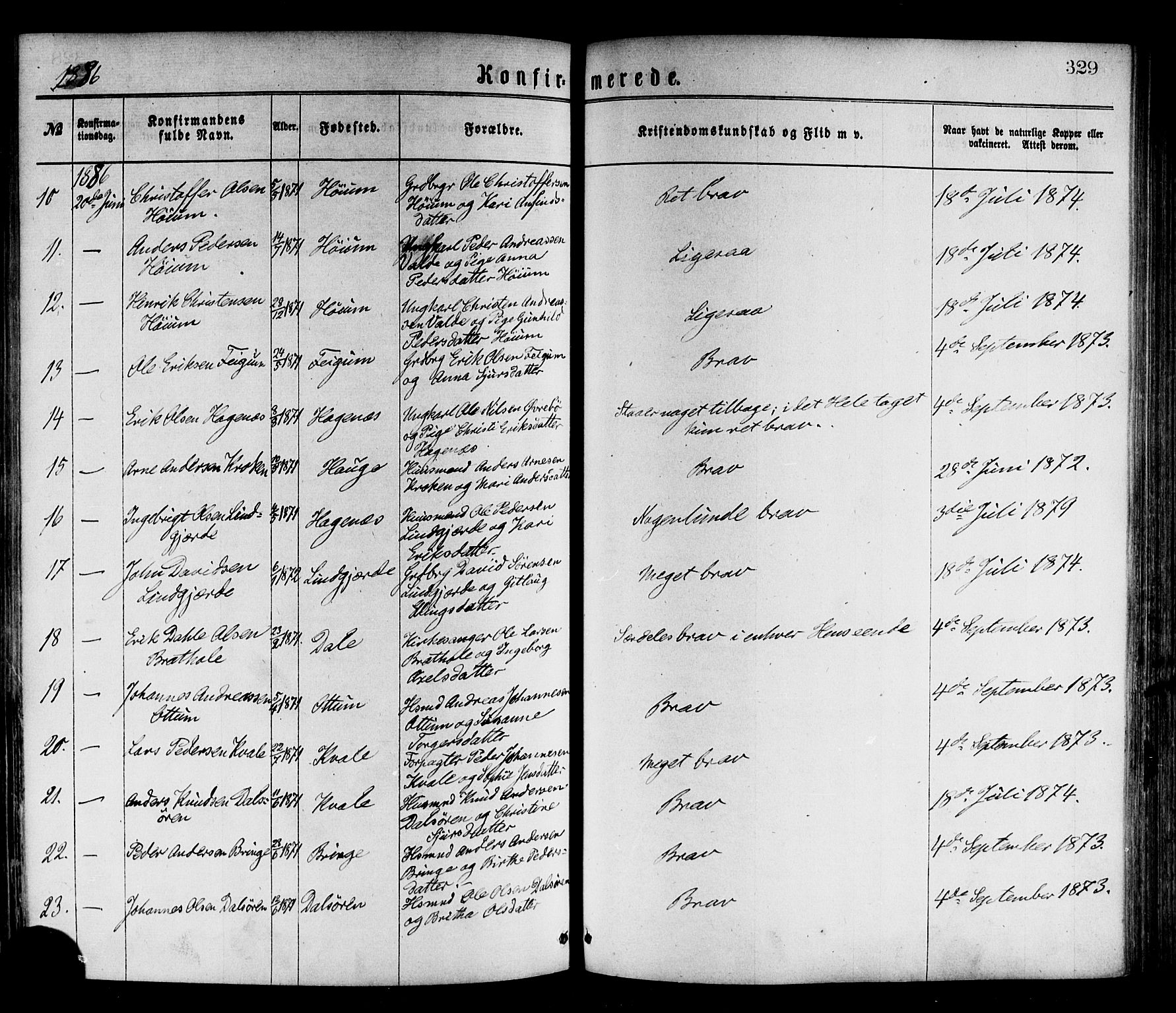 Luster sokneprestembete, AV/SAB-A-81101/H/Haa/Haaa/L0010: Parish register (official) no. A 10, 1871-1886, p. 329