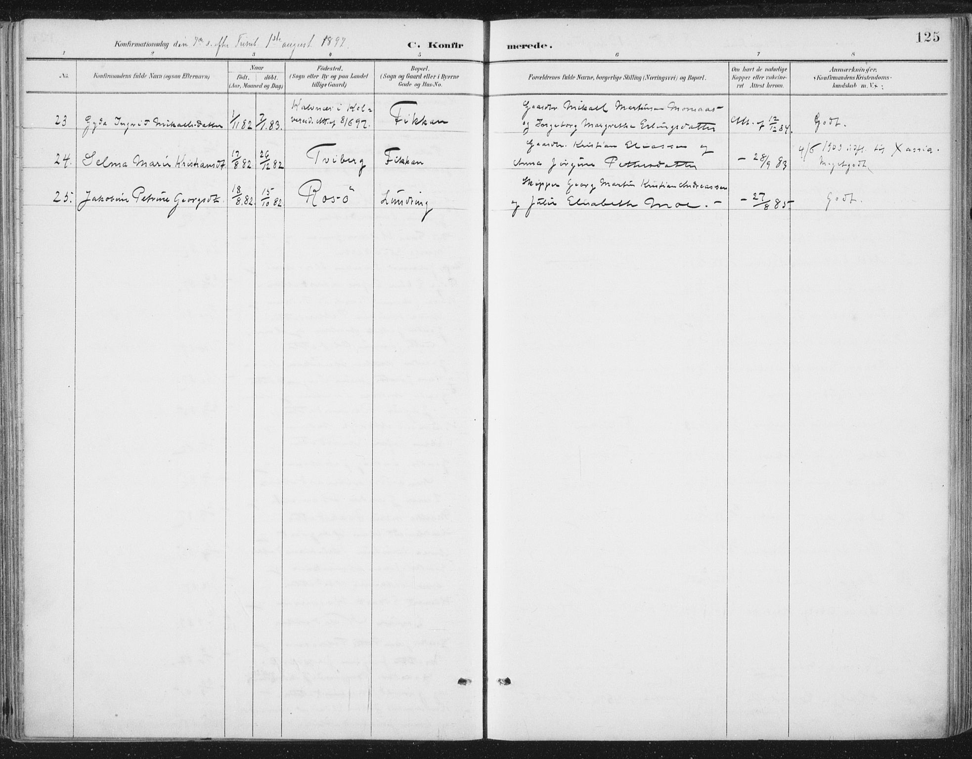 Ministerialprotokoller, klokkerbøker og fødselsregistre - Nord-Trøndelag, AV/SAT-A-1458/784/L0673: Parish register (official) no. 784A08, 1888-1899, p. 125