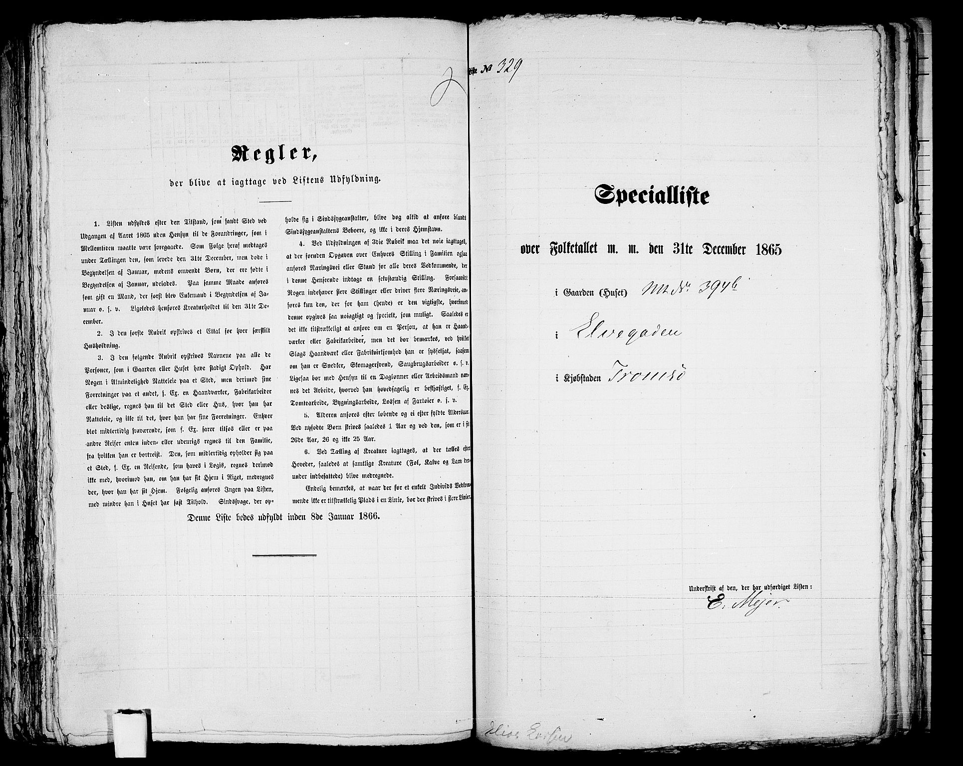 RA, 1865 census for Tromsø, 1865, p. 675