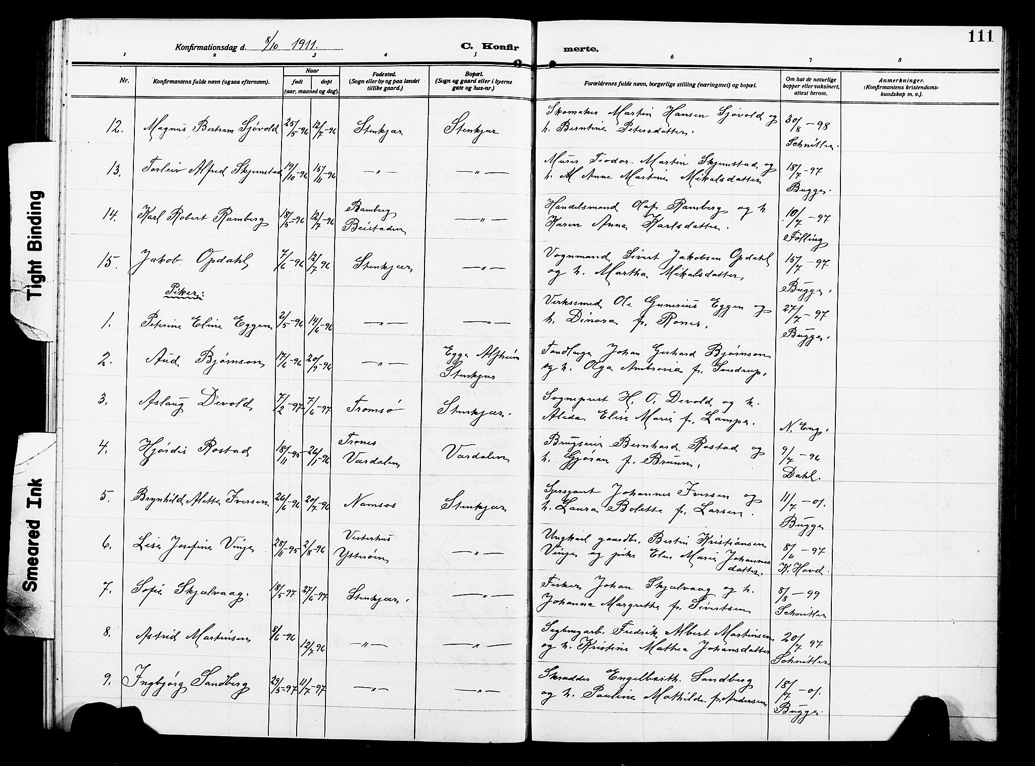 Ministerialprotokoller, klokkerbøker og fødselsregistre - Nord-Trøndelag, SAT/A-1458/739/L0376: Parish register (copy) no. 739C04, 1908-1917, p. 111