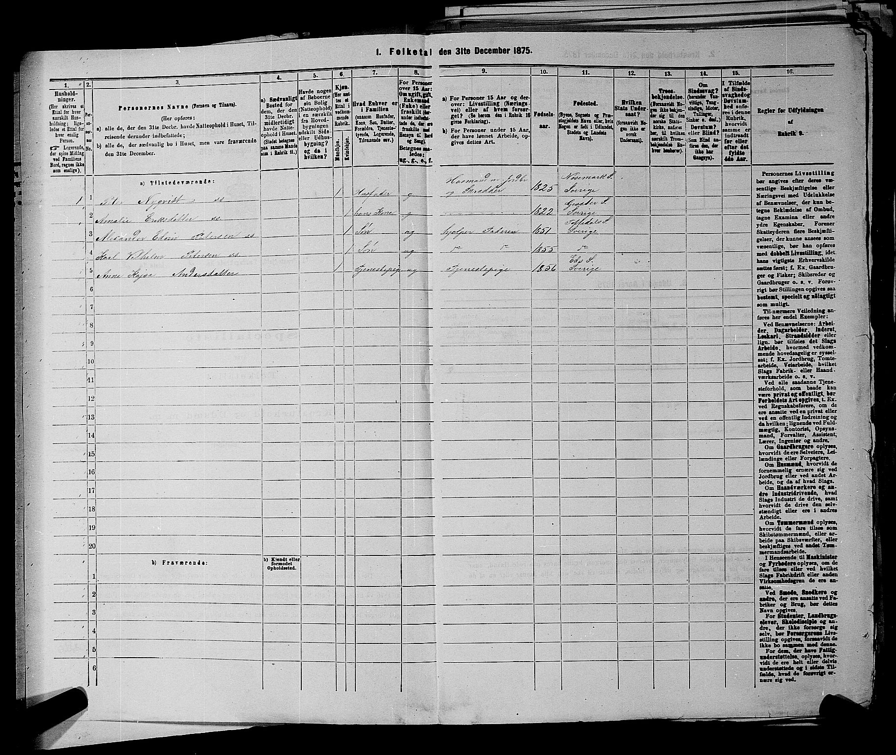 RA, 1875 census for 0117P Idd, 1875, p. 920