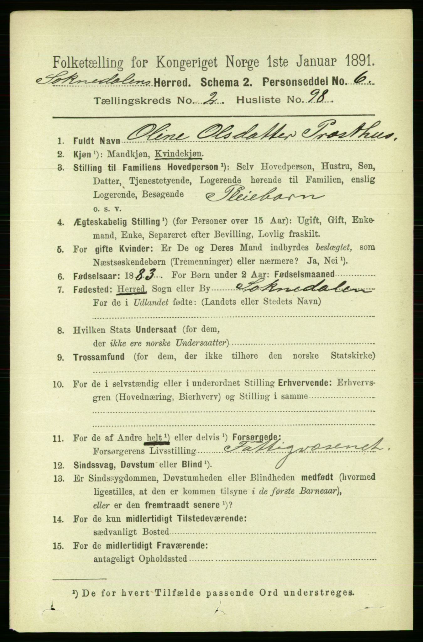 RA, 1891 census for 1649 Soknedal, 1891, p. 1090