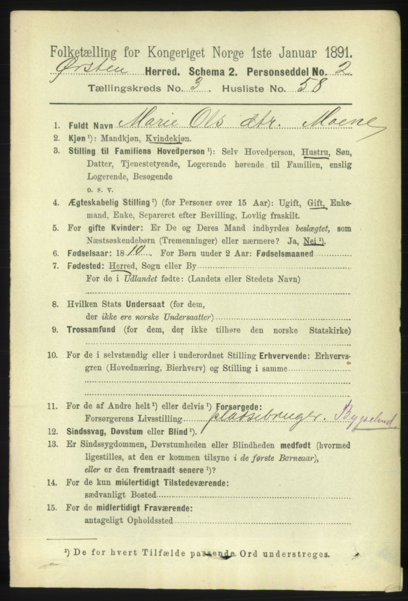 RA, 1891 census for 1520 Ørsta, 1891, p. 1582