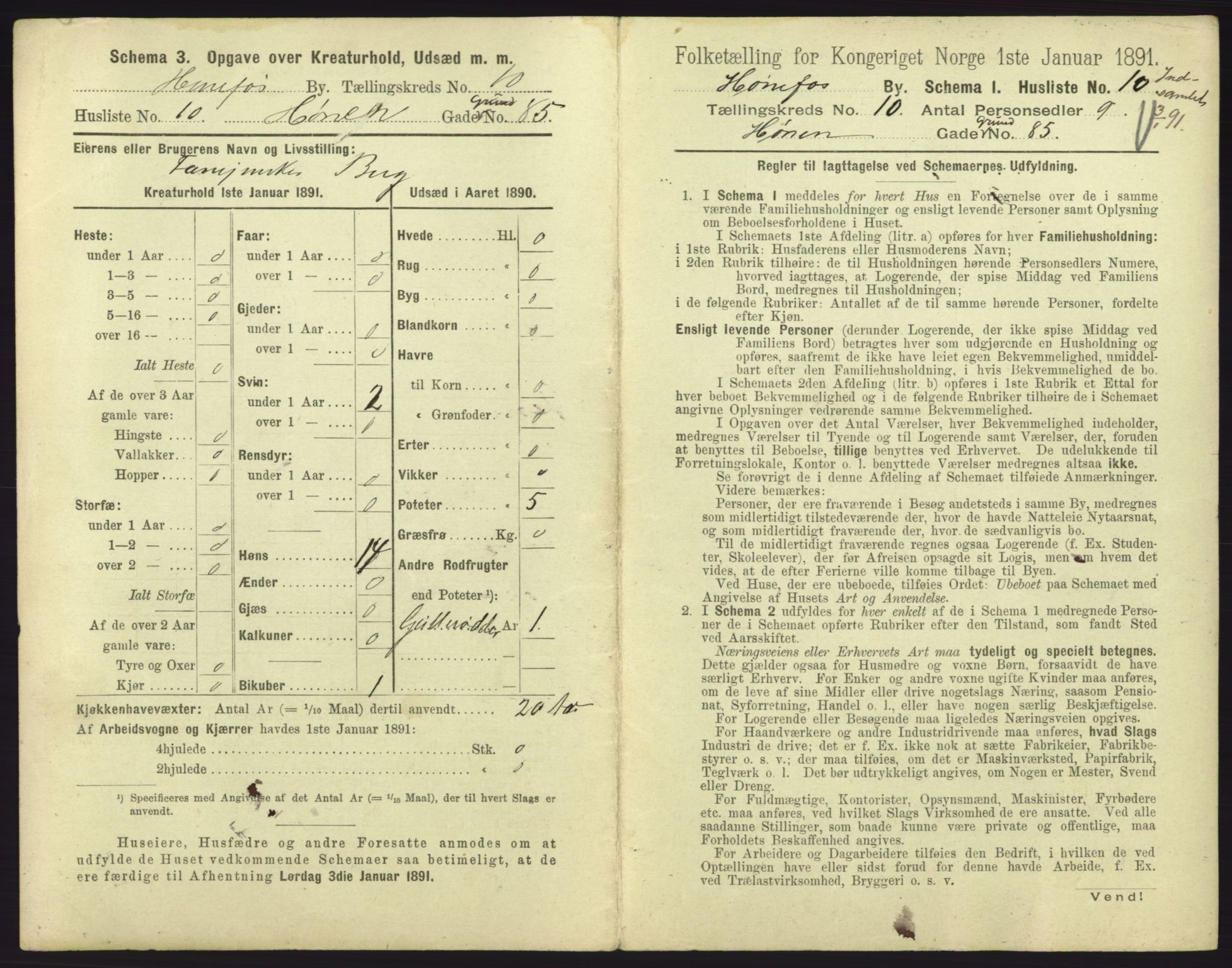 RA, 1891 census for 0601 Hønefoss, 1891, p. 251