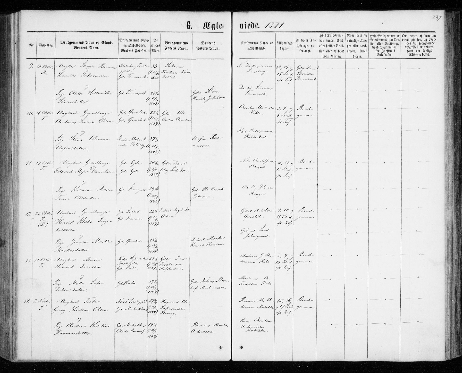 Tranøy sokneprestkontor, SATØ/S-1313/I/Ia/Iaa/L0008kirke: Parish register (official) no. 8, 1867-1877, p. 237
