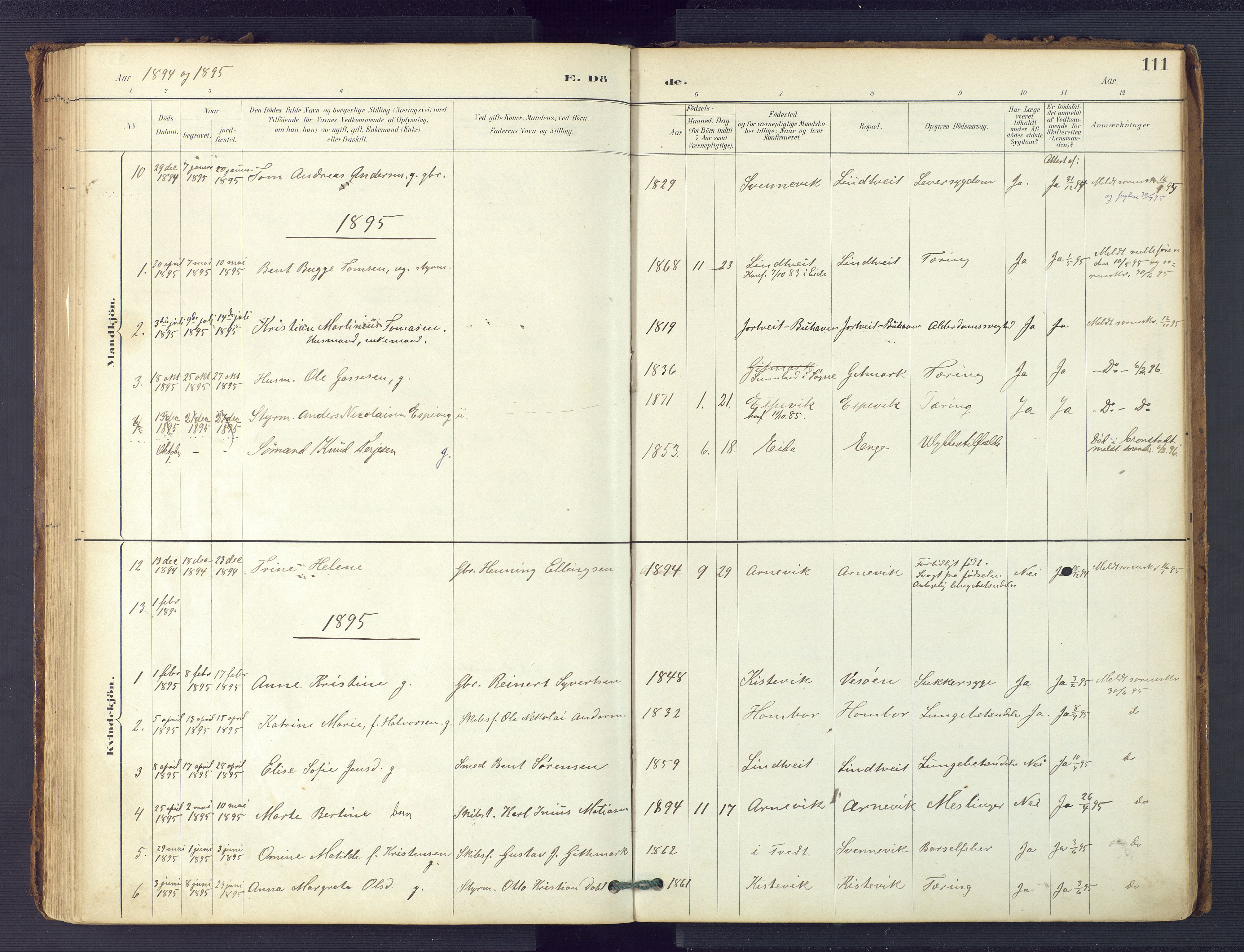 Hommedal sokneprestkontor, SAK/1111-0023/F/Fa/Faa/L0003: Parish register (official) no. A 3, 1885-1916, p. 111