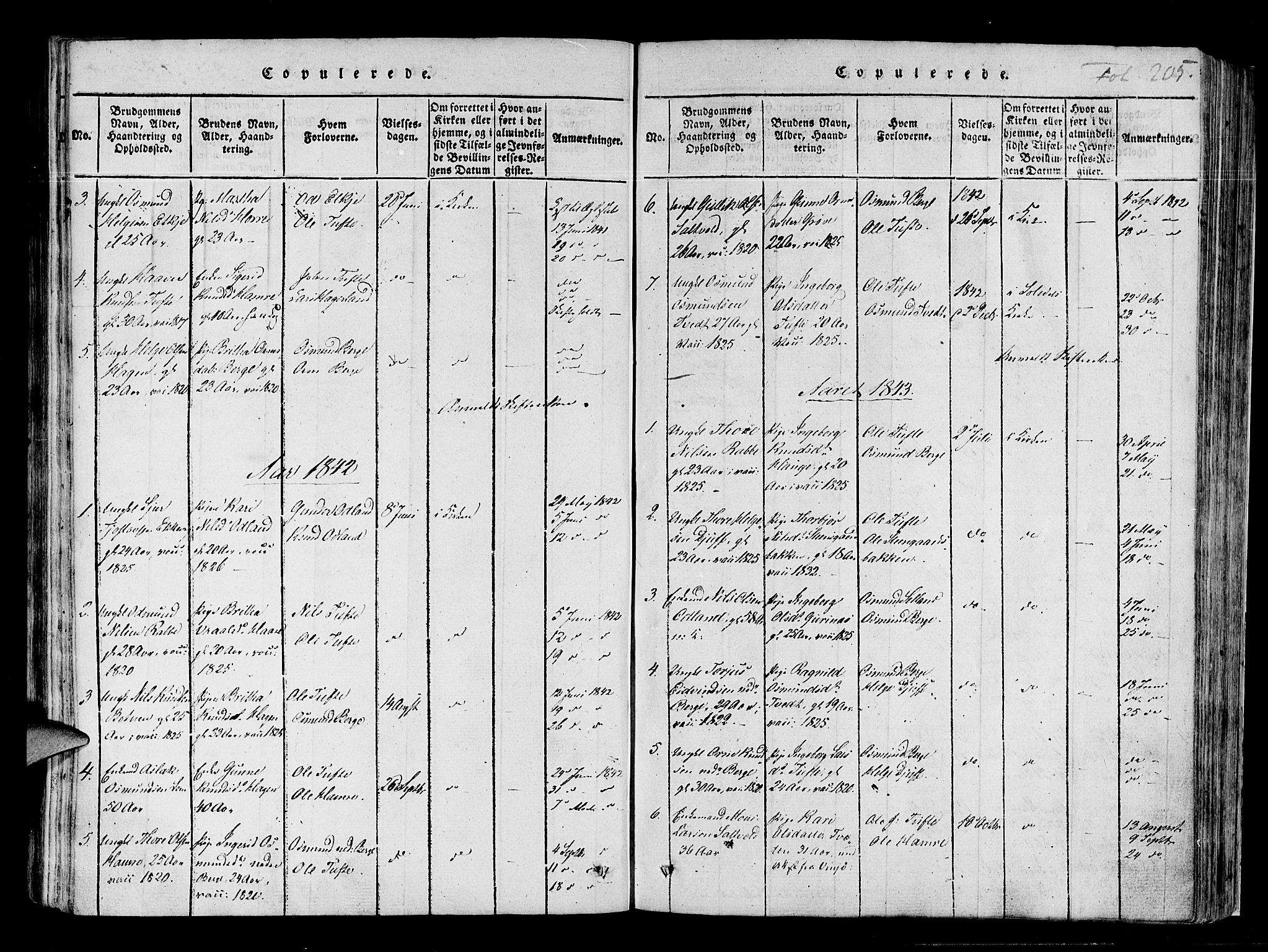Røldal sokneprestembete, SAB/A-100247: Parish register (official) no. A 2, 1817-1856, p. 205