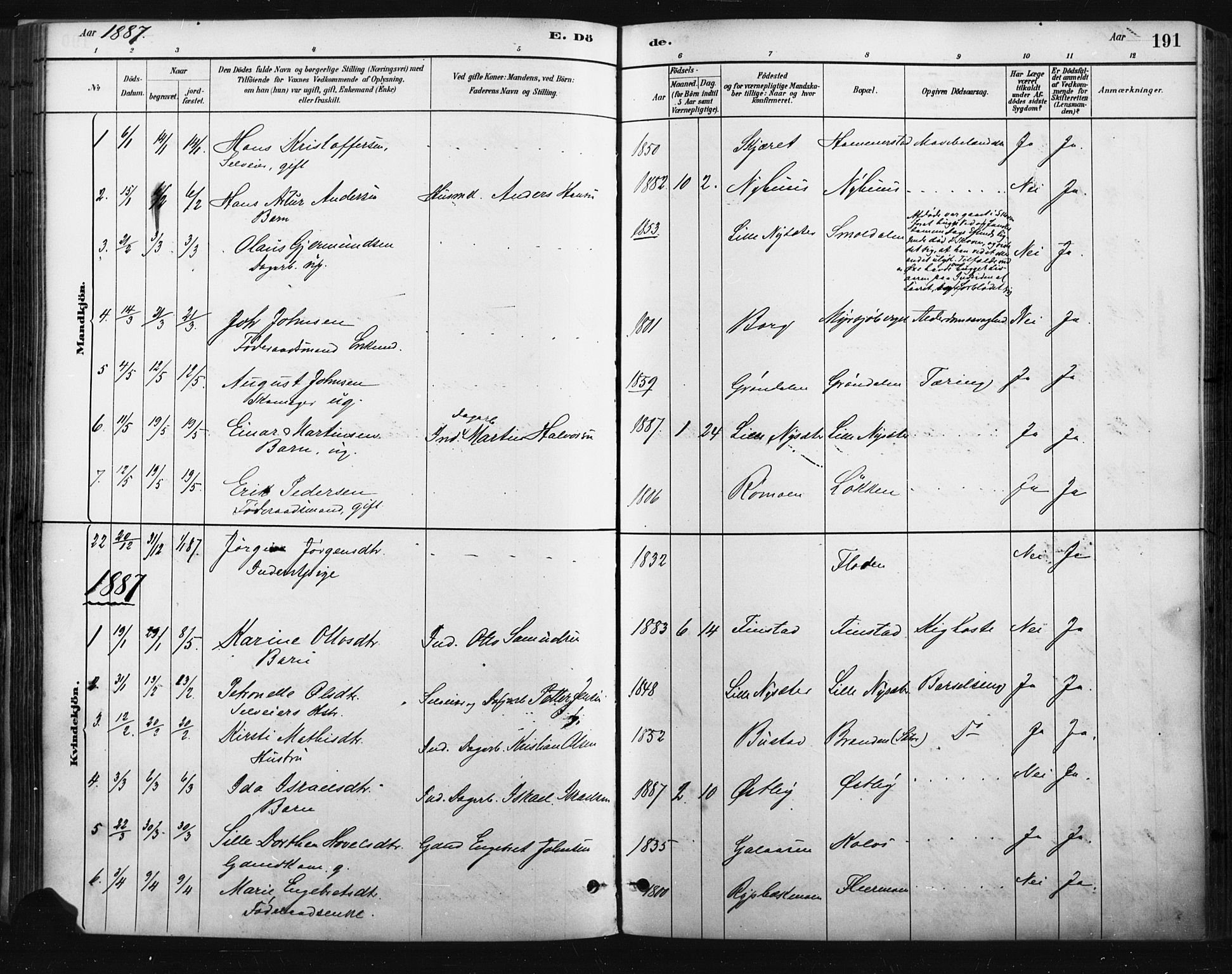 Trysil prestekontor, AV/SAH-PREST-046/H/Ha/Haa/L0009: Parish register (official) no. 9, 1881-1897, p. 191