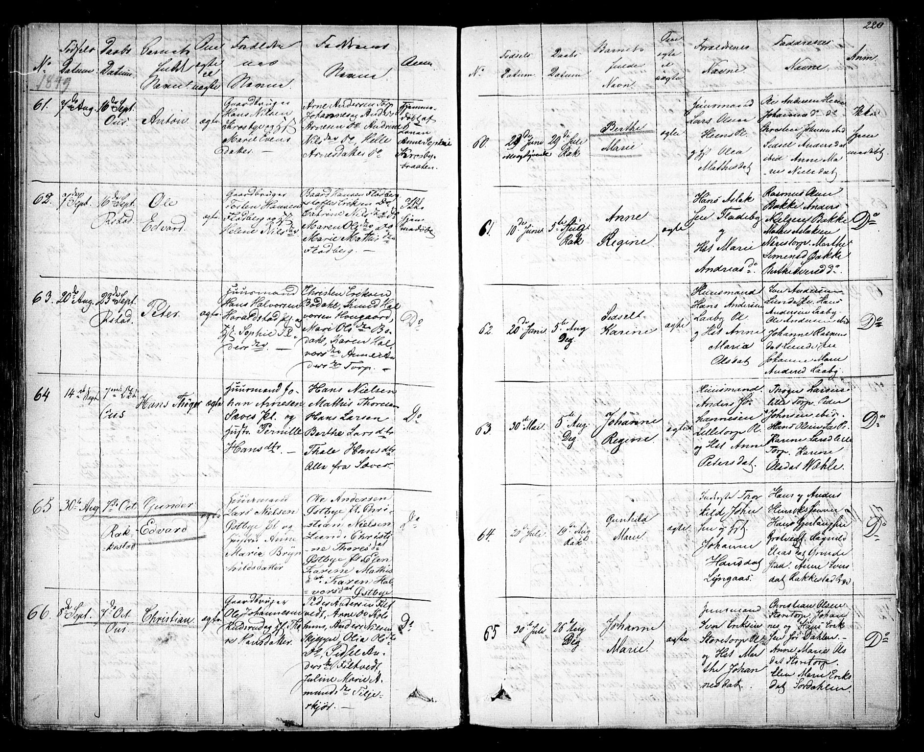 Rakkestad prestekontor Kirkebøker, SAO/A-2008/F/Fa/L0008: Parish register (official) no. I 8, 1842-1849, p. 219-220