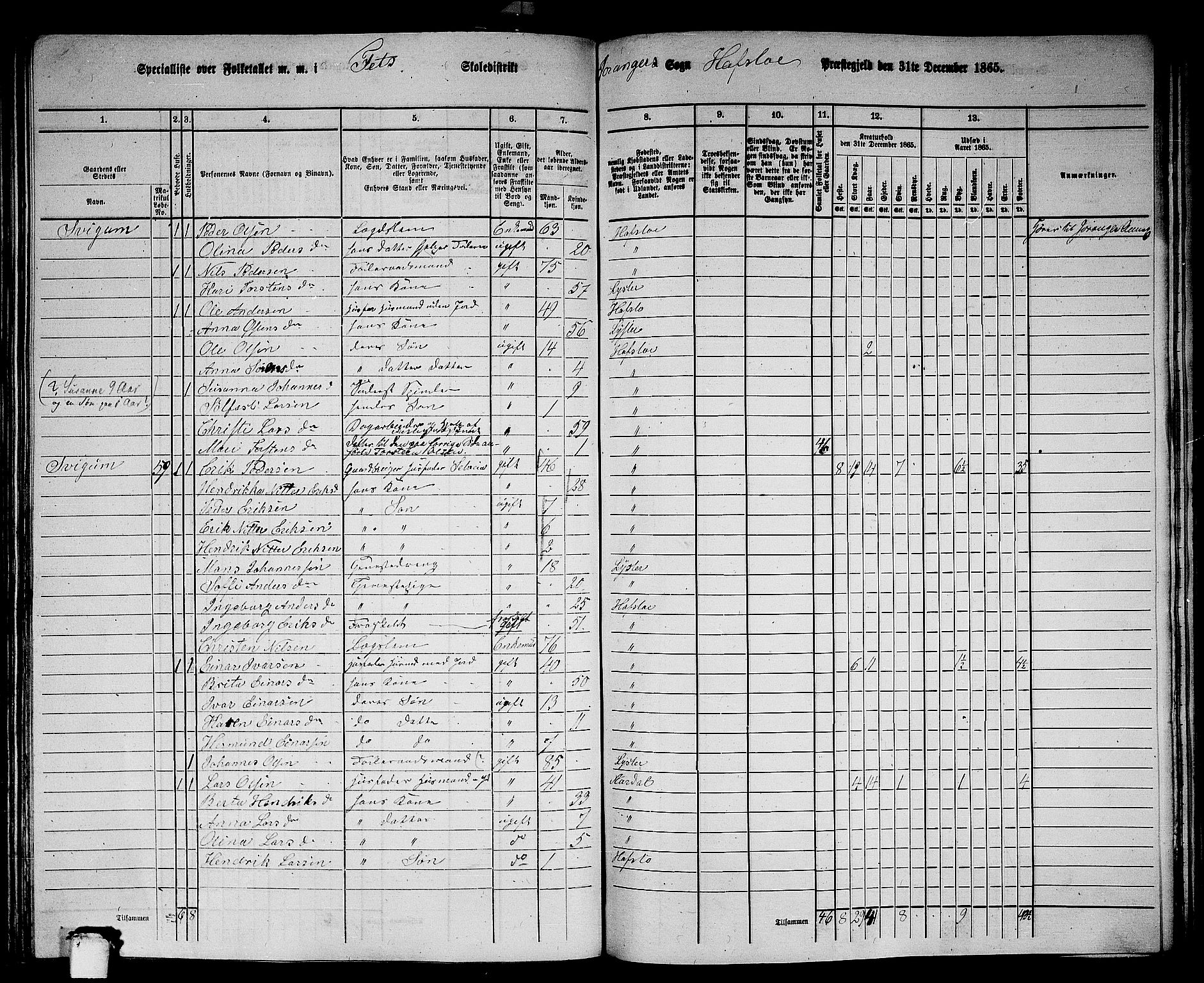 RA, 1865 census for Hafslo, 1865, p. 114