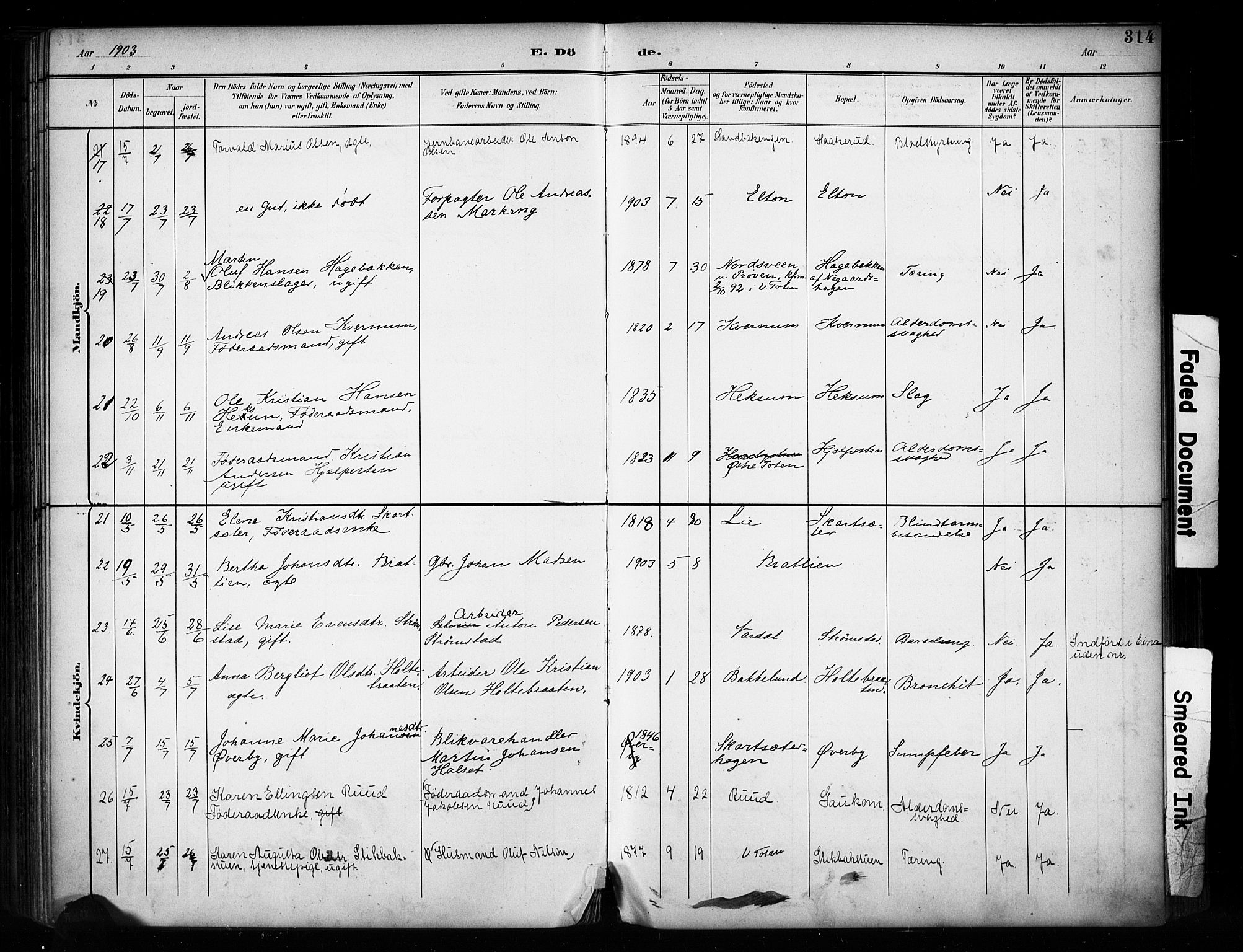 Vestre Toten prestekontor, SAH/PREST-108/H/Ha/Haa/L0011: Parish register (official) no. 11, 1895-1906, p. 314