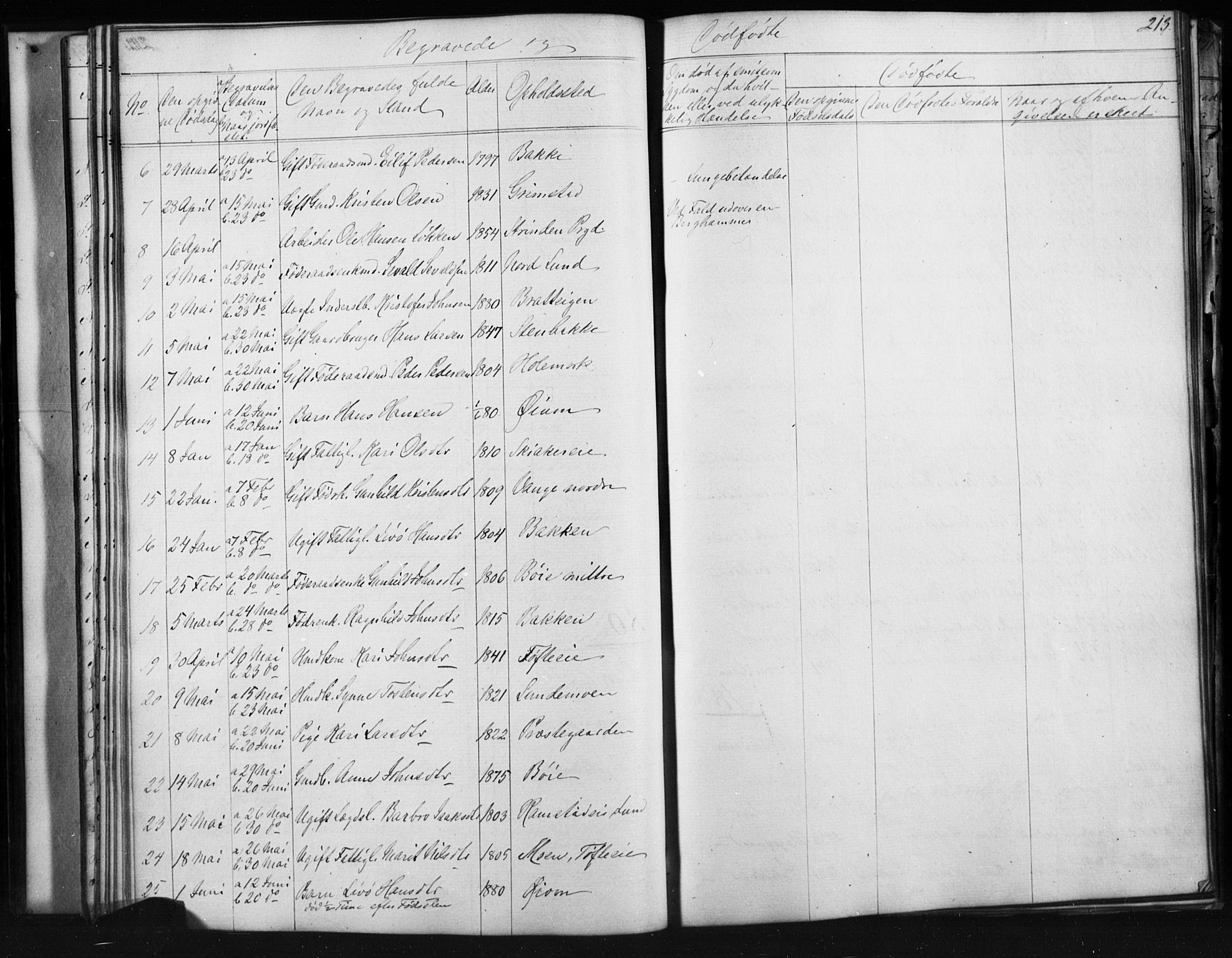 Skjåk prestekontor, SAH/PREST-072/H/Ha/Hab/L0001: Parish register (copy) no. 1, 1865-1893, p. 213