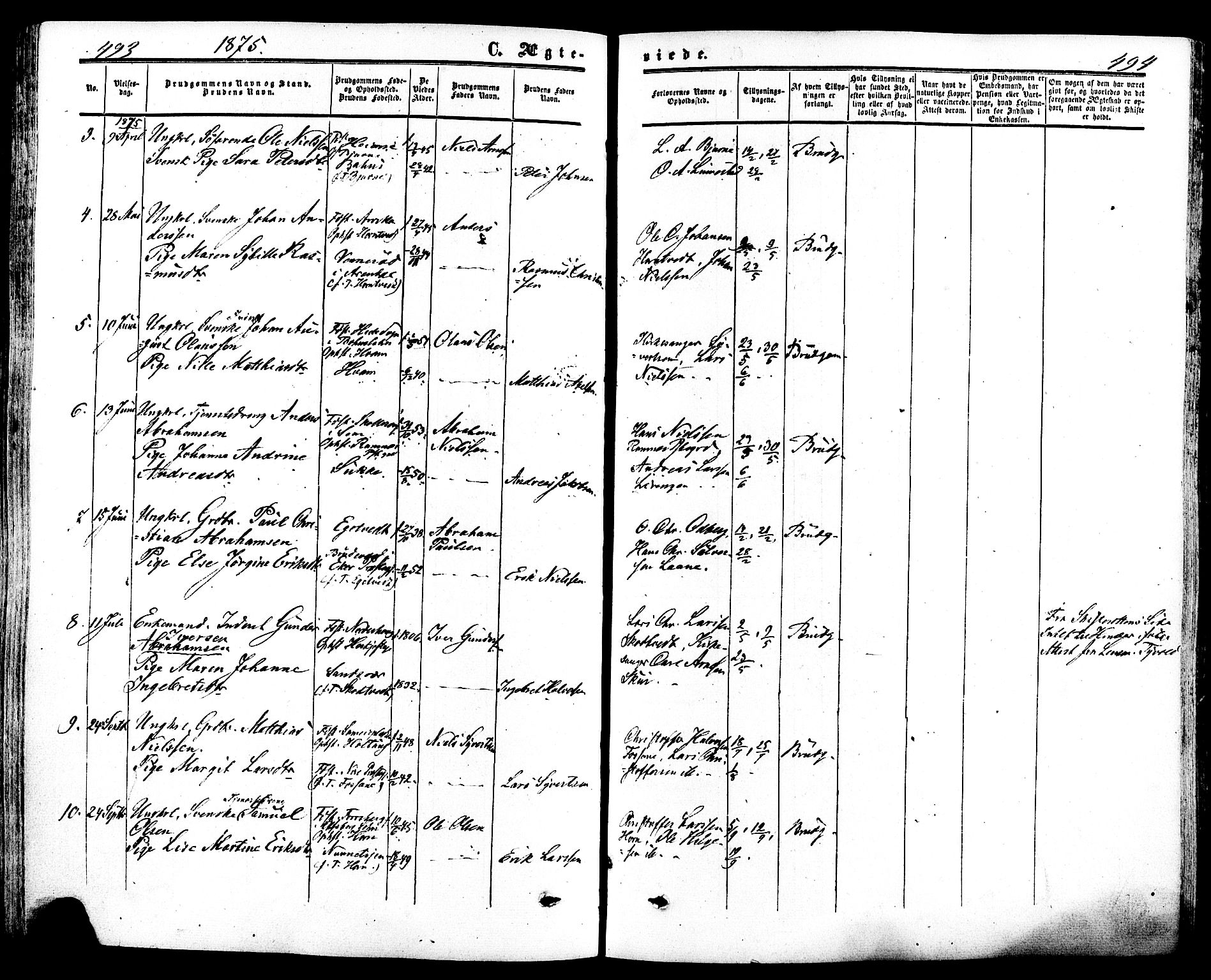 Ramnes kirkebøker, AV/SAKO-A-314/F/Fa/L0006: Parish register (official) no. I 6, 1862-1877, p. 493-494