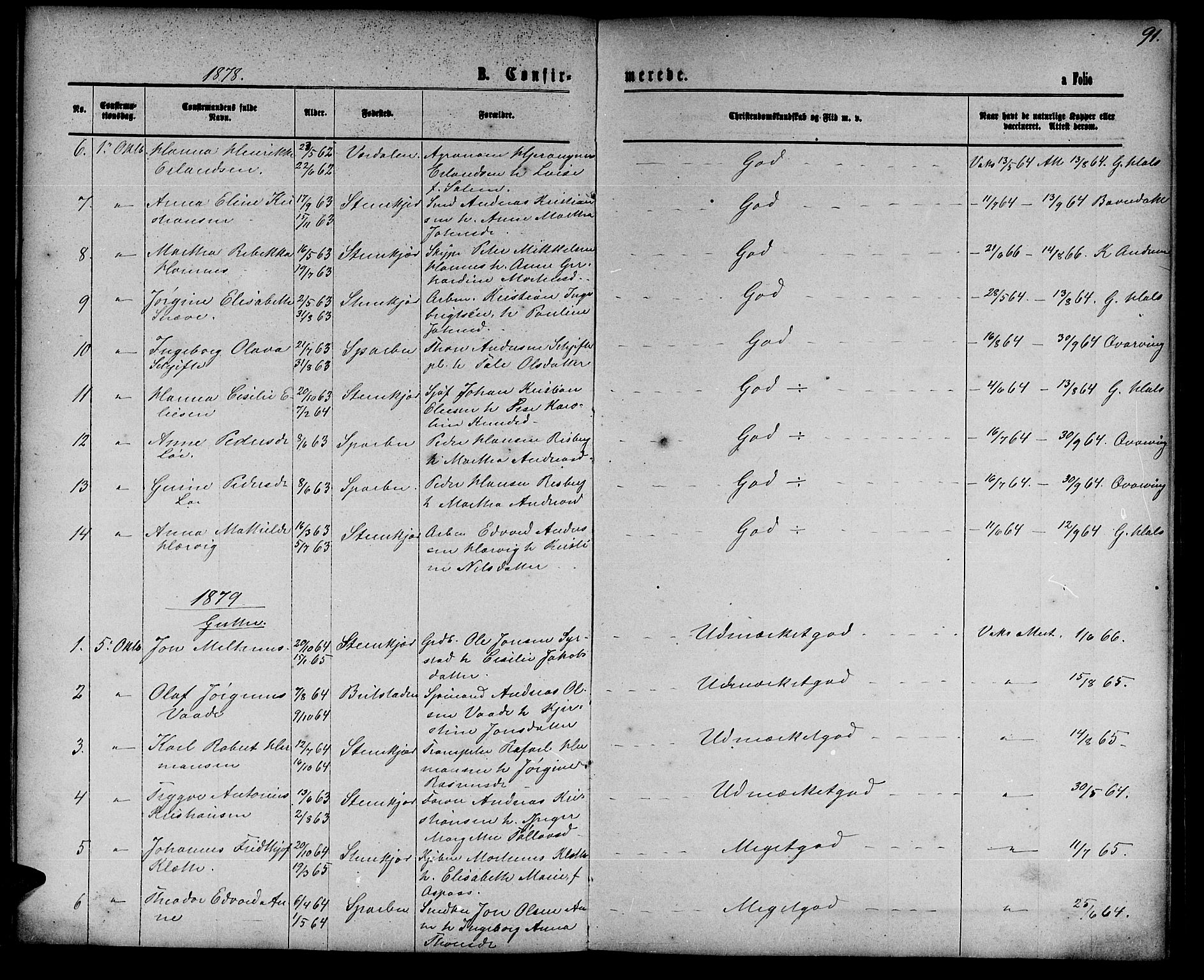 Ministerialprotokoller, klokkerbøker og fødselsregistre - Nord-Trøndelag, SAT/A-1458/739/L0373: Parish register (copy) no. 739C01, 1865-1882, p. 91