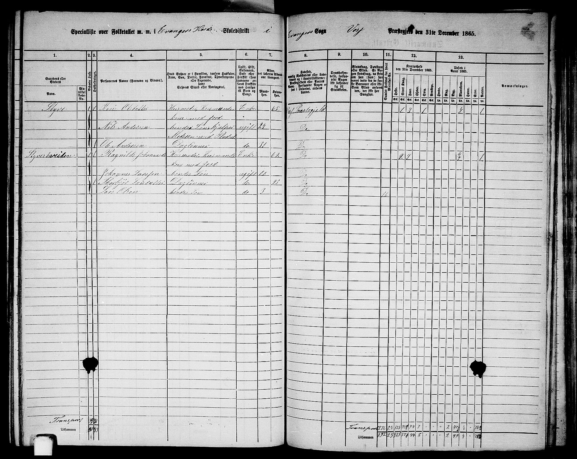 RA, 1865 census for Voss, 1865, p. 366