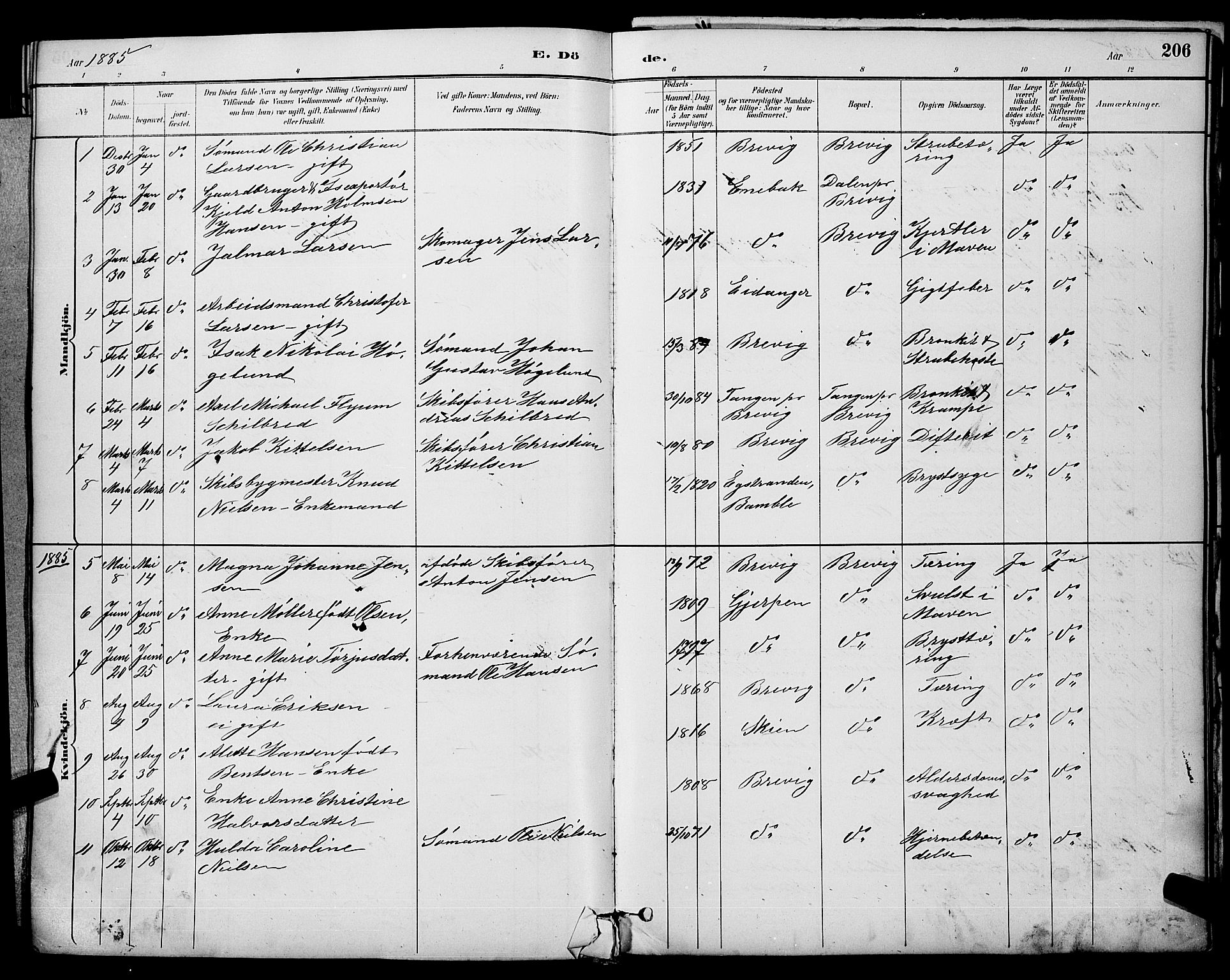 Brevik kirkebøker, SAKO/A-255/G/Ga/L0004: Parish register (copy) no. 4, 1882-1900, p. 206
