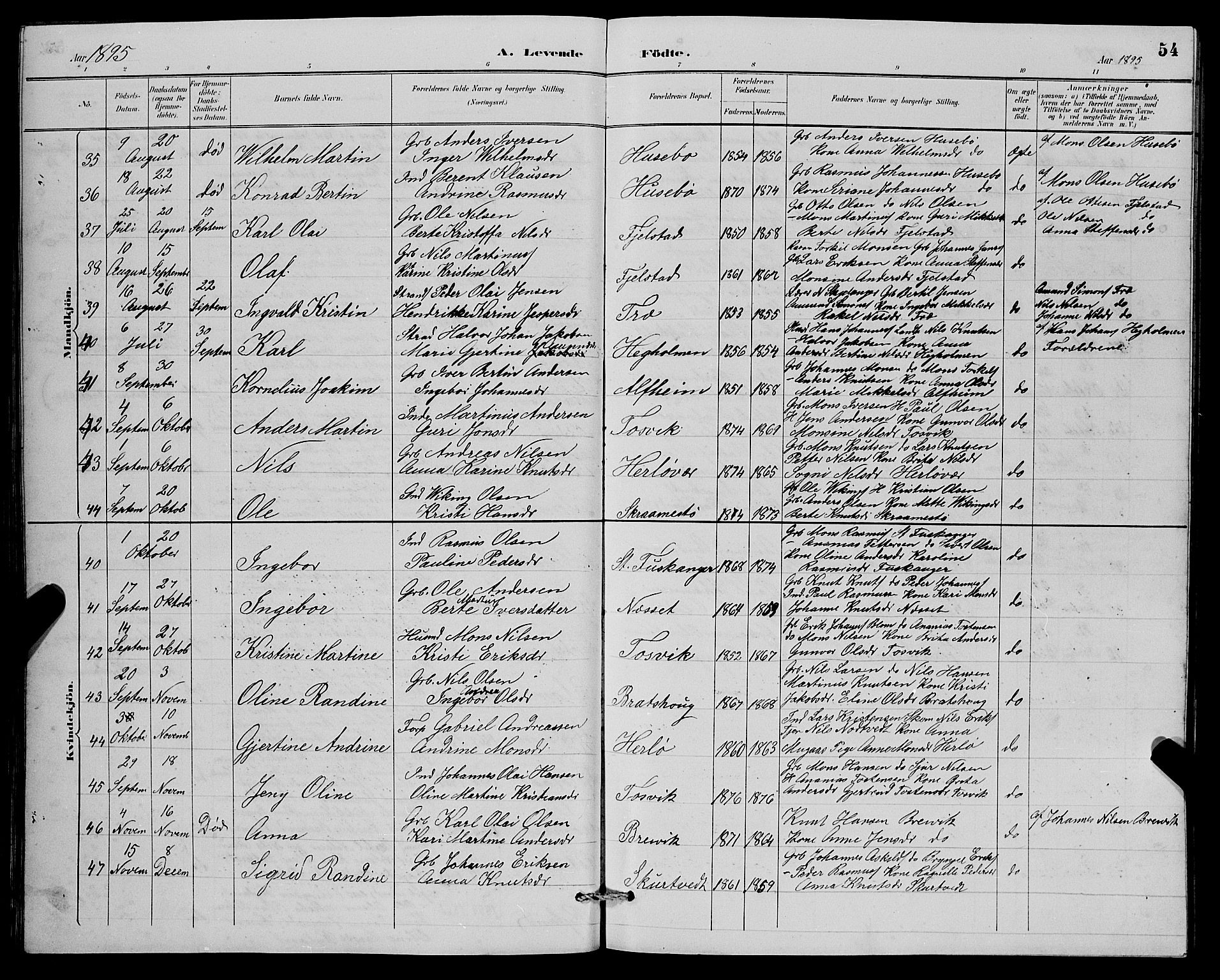 Herdla Sokneprestembete, AV/SAB-A-75701/H/Hab: Parish register (copy) no. A 3, 1889-1899, p. 54