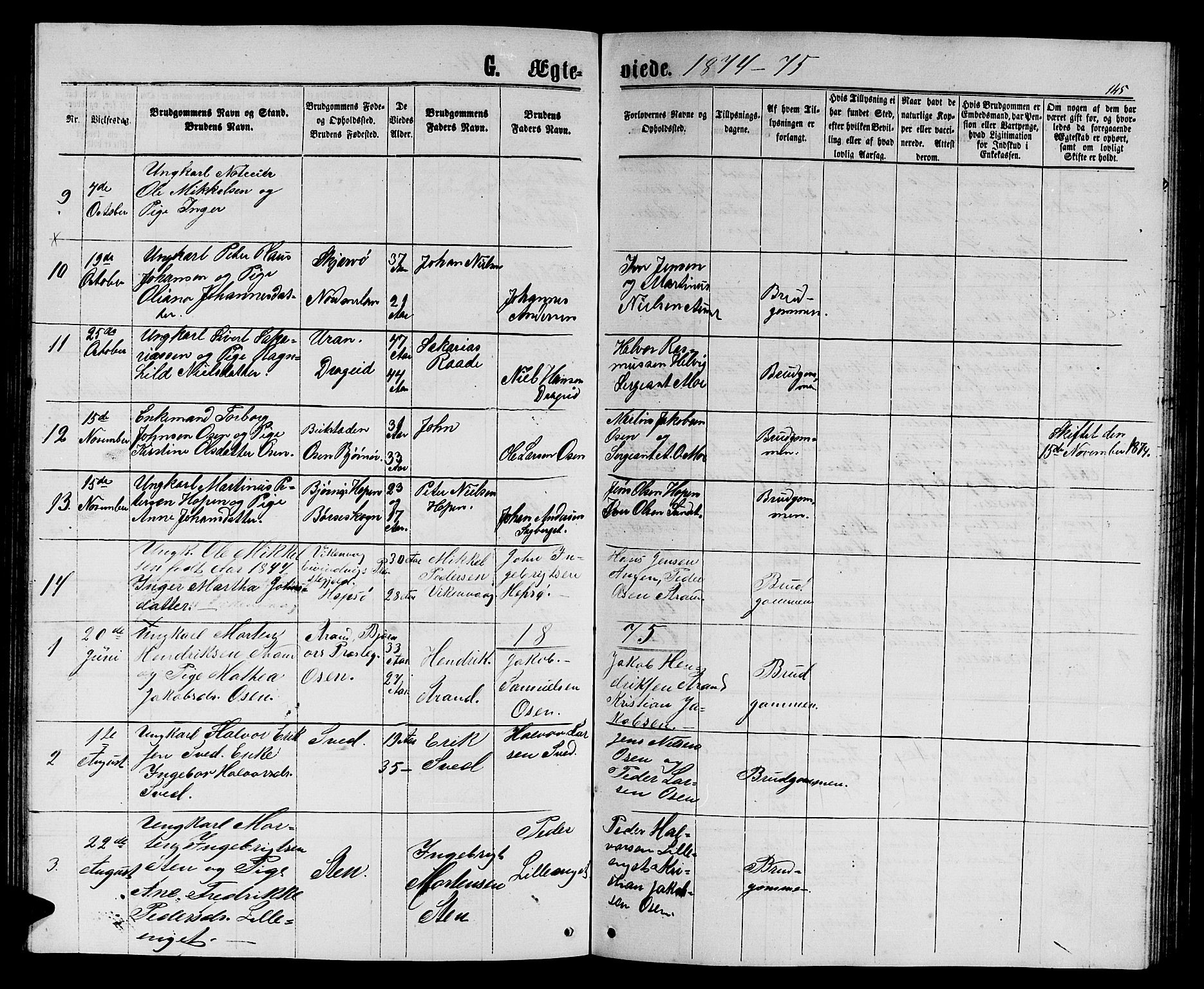 Ministerialprotokoller, klokkerbøker og fødselsregistre - Sør-Trøndelag, SAT/A-1456/658/L0725: Parish register (copy) no. 658C01, 1867-1882, p. 145