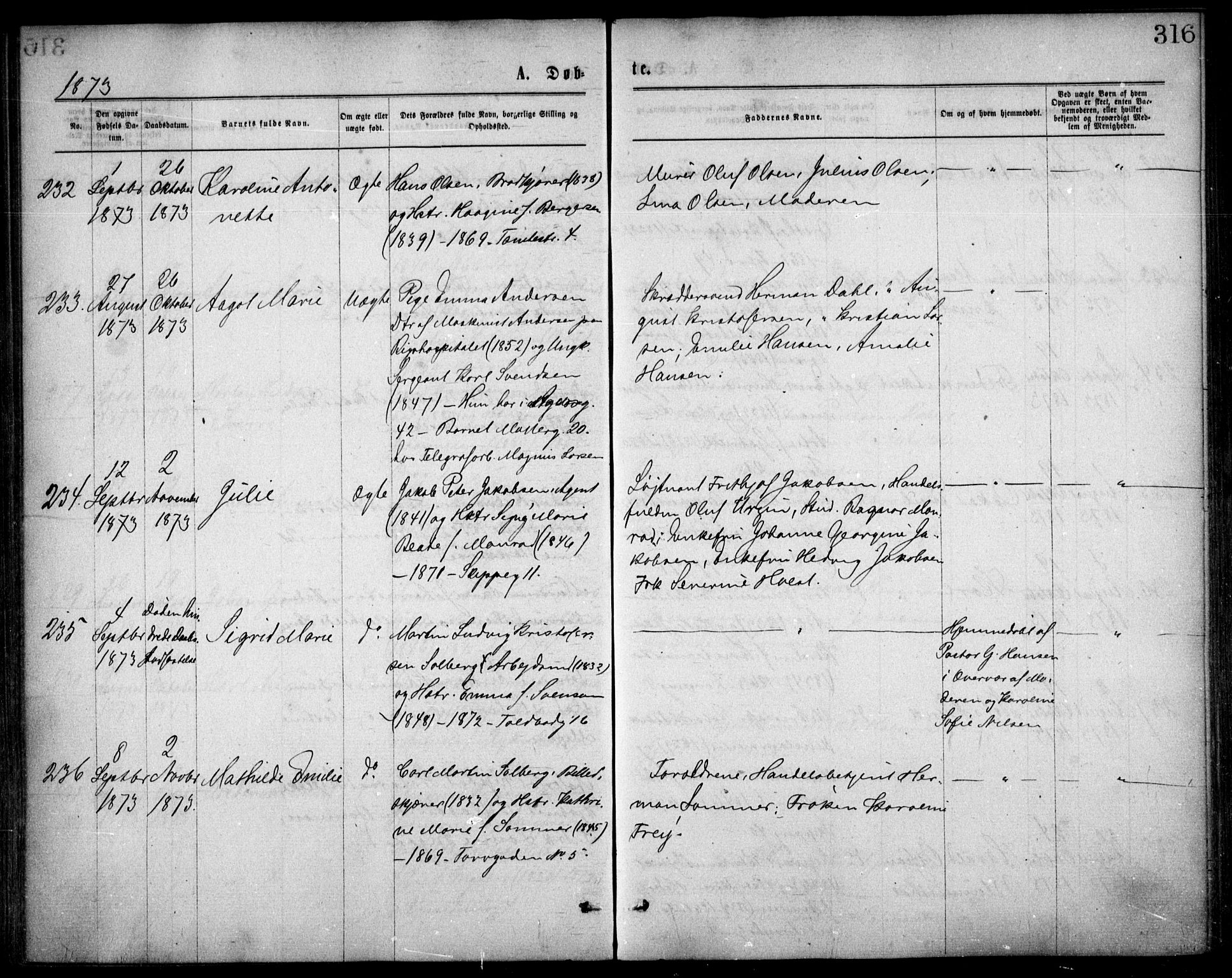 Oslo domkirke Kirkebøker, SAO/A-10752/F/Fa/L0017: Parish register (official) no. 17, 1869-1878, p. 316