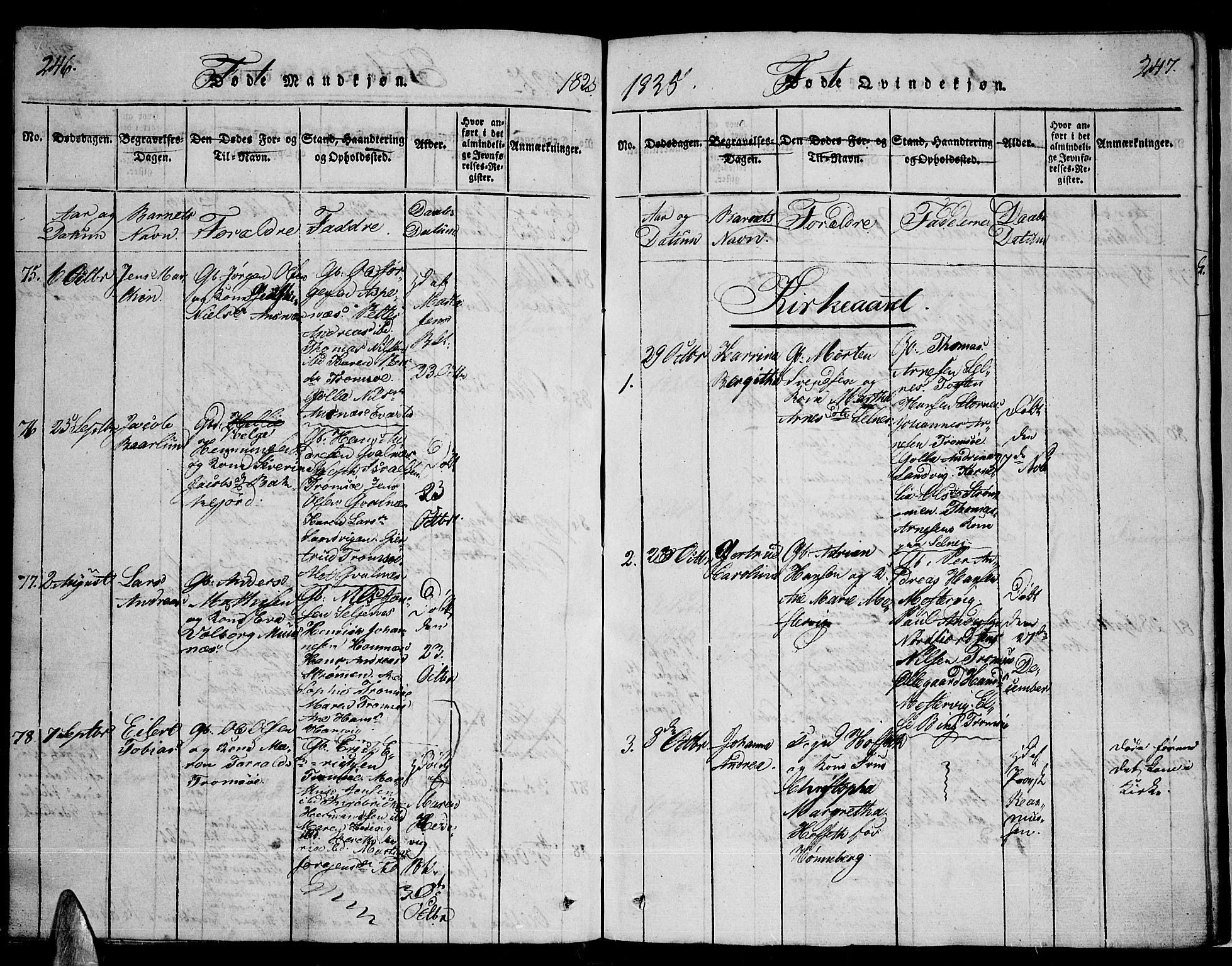Tromsø sokneprestkontor/stiftsprosti/domprosti, SATØ/S-1343/G/Ga/L0007kirke: Parish register (official) no. 7, 1821-1828, p. 246-247