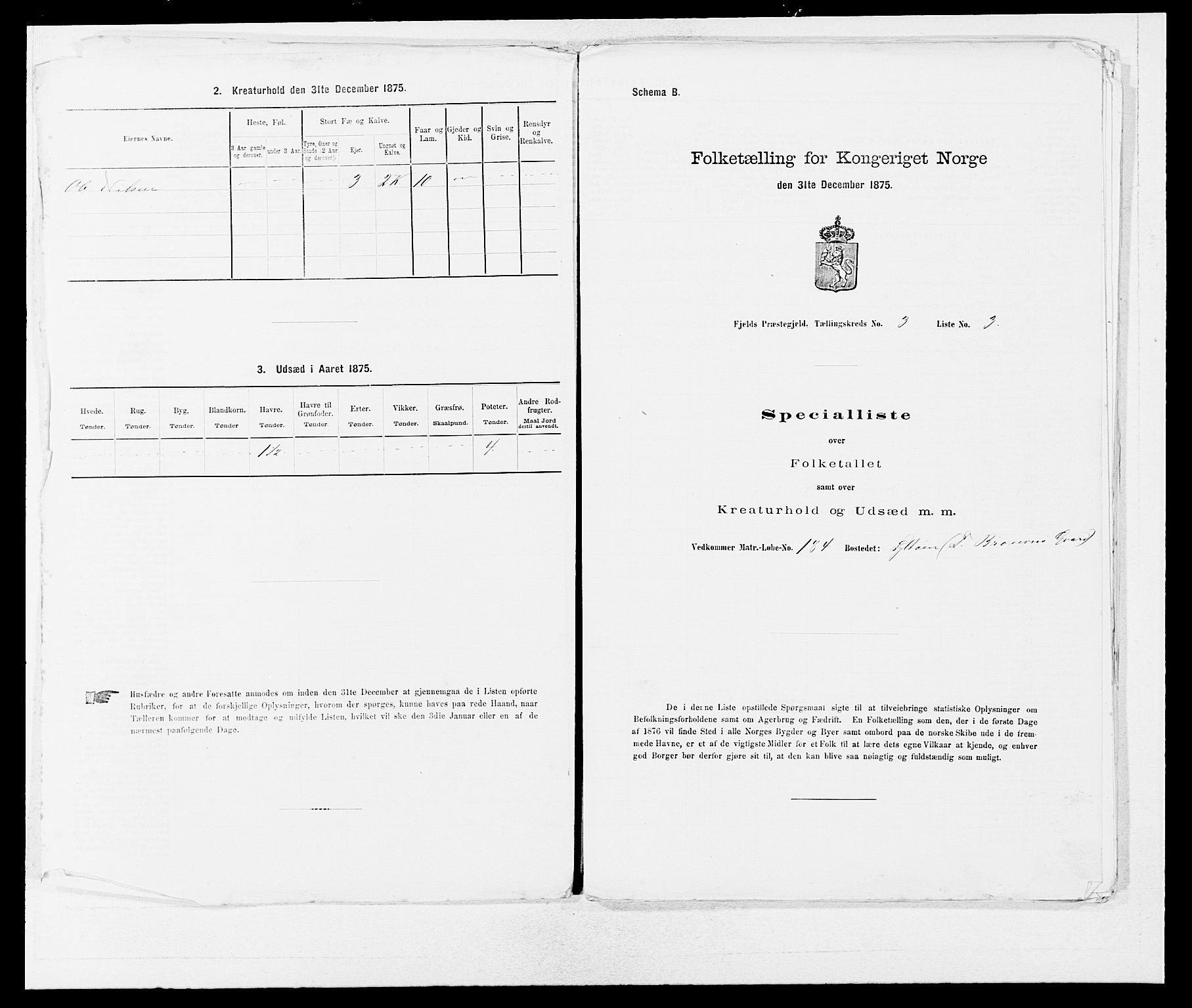 SAB, 1875 census for 1246P Fjell, 1875, p. 293