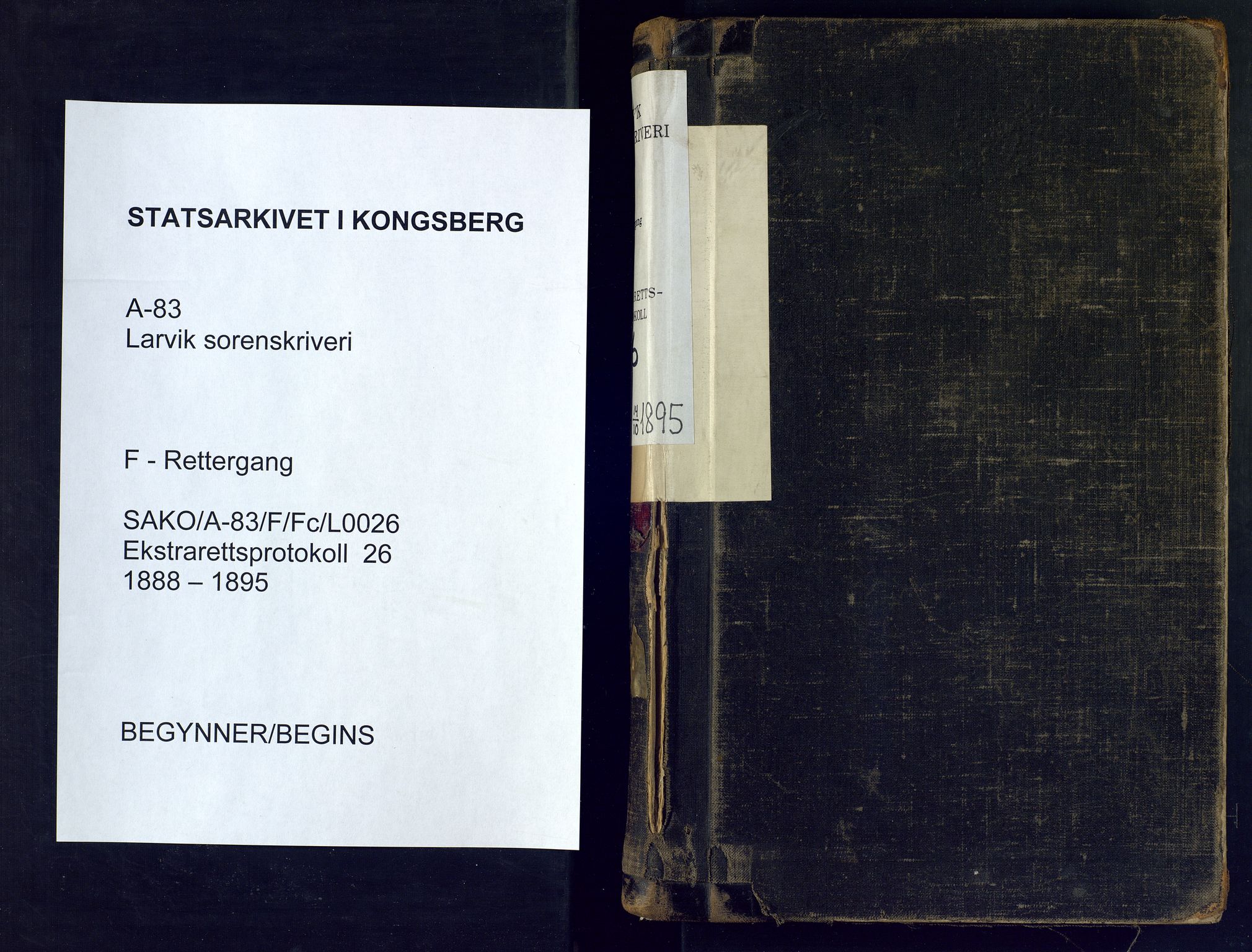Larvik sorenskriveri, SAKO/A-83/F/Fc/L0026: Ekstrarettsprotokoll, 1888-1895