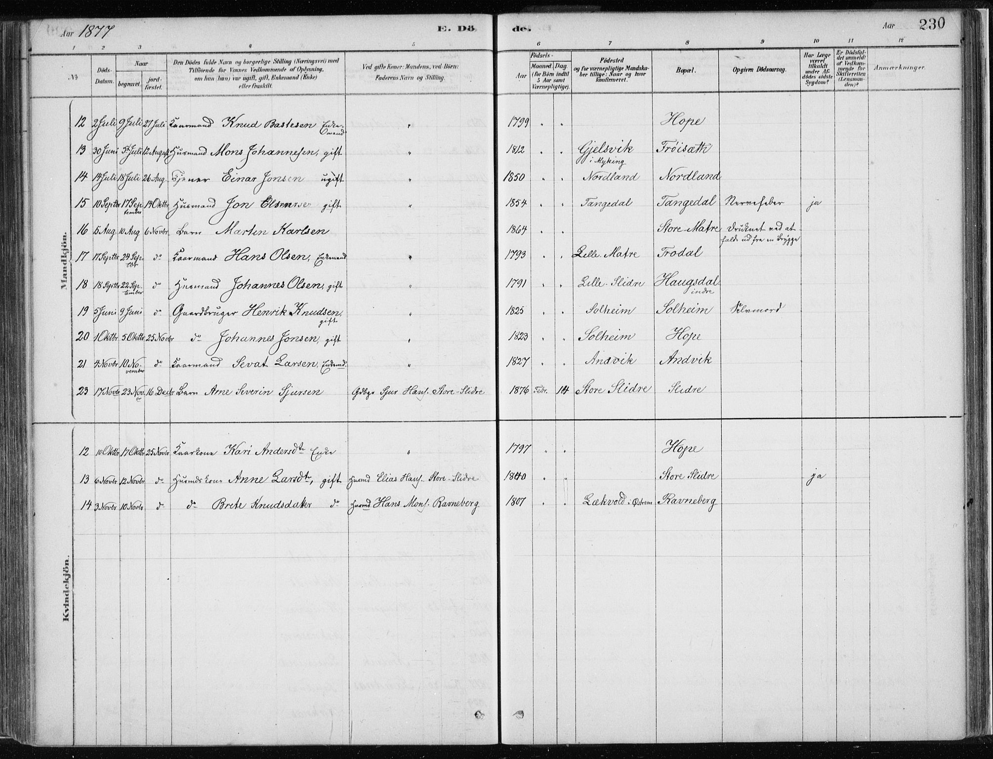 Masfjorden sokneprestembete, AV/SAB-A-77001: Parish register (official) no. B  1, 1876-1899, p. 230